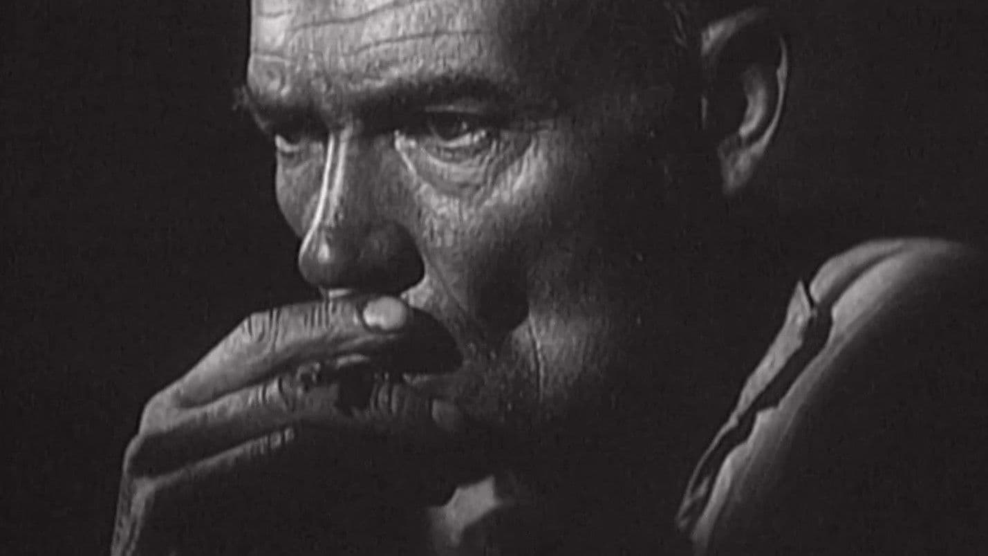 Poster backdrop for Night Raids