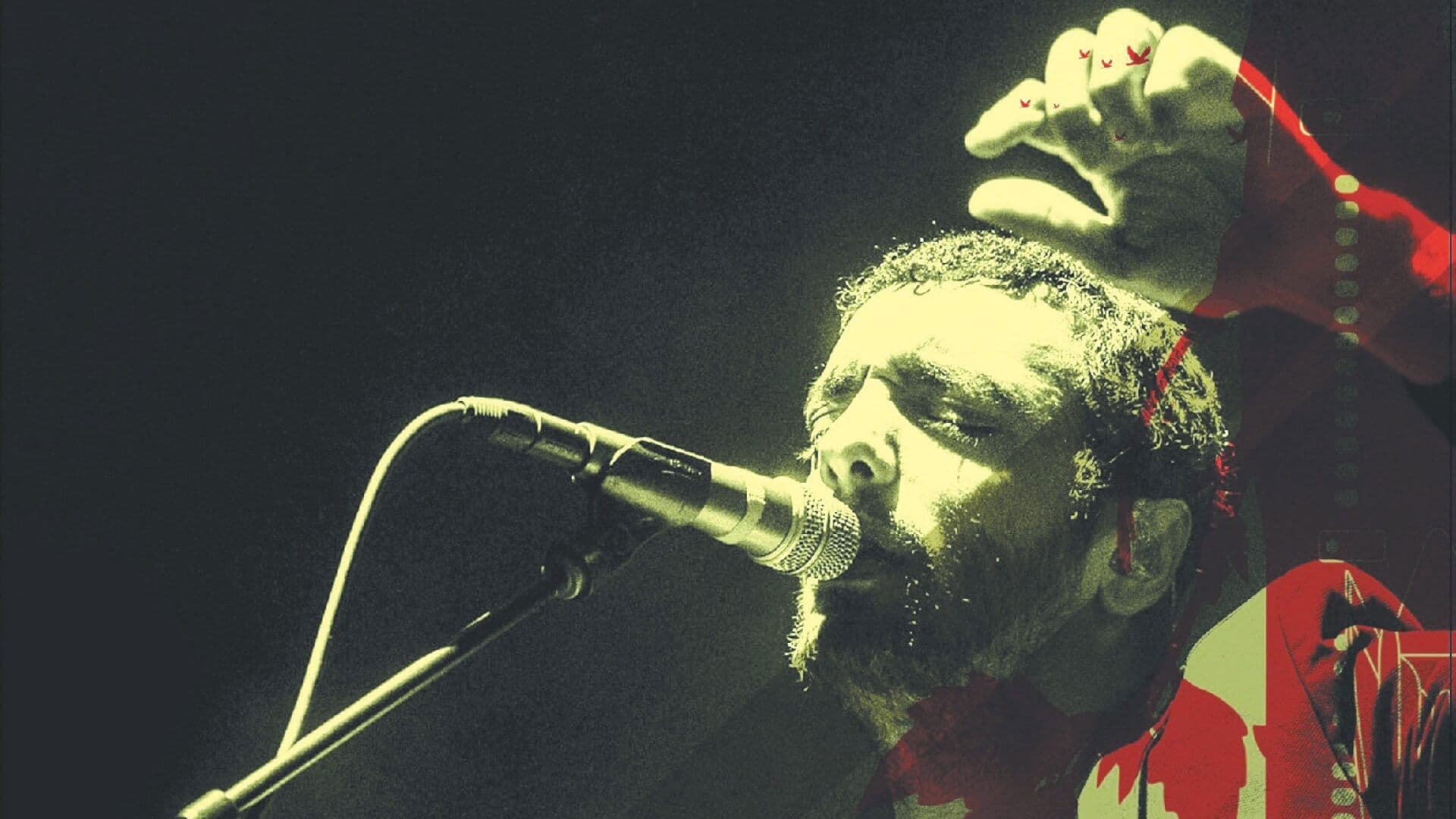 Poster backdrop for Don't Be So Modest You Aren't That Great