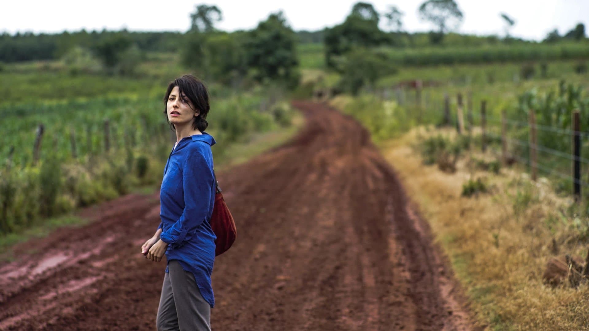 Poster backdrop for A Sort of Family