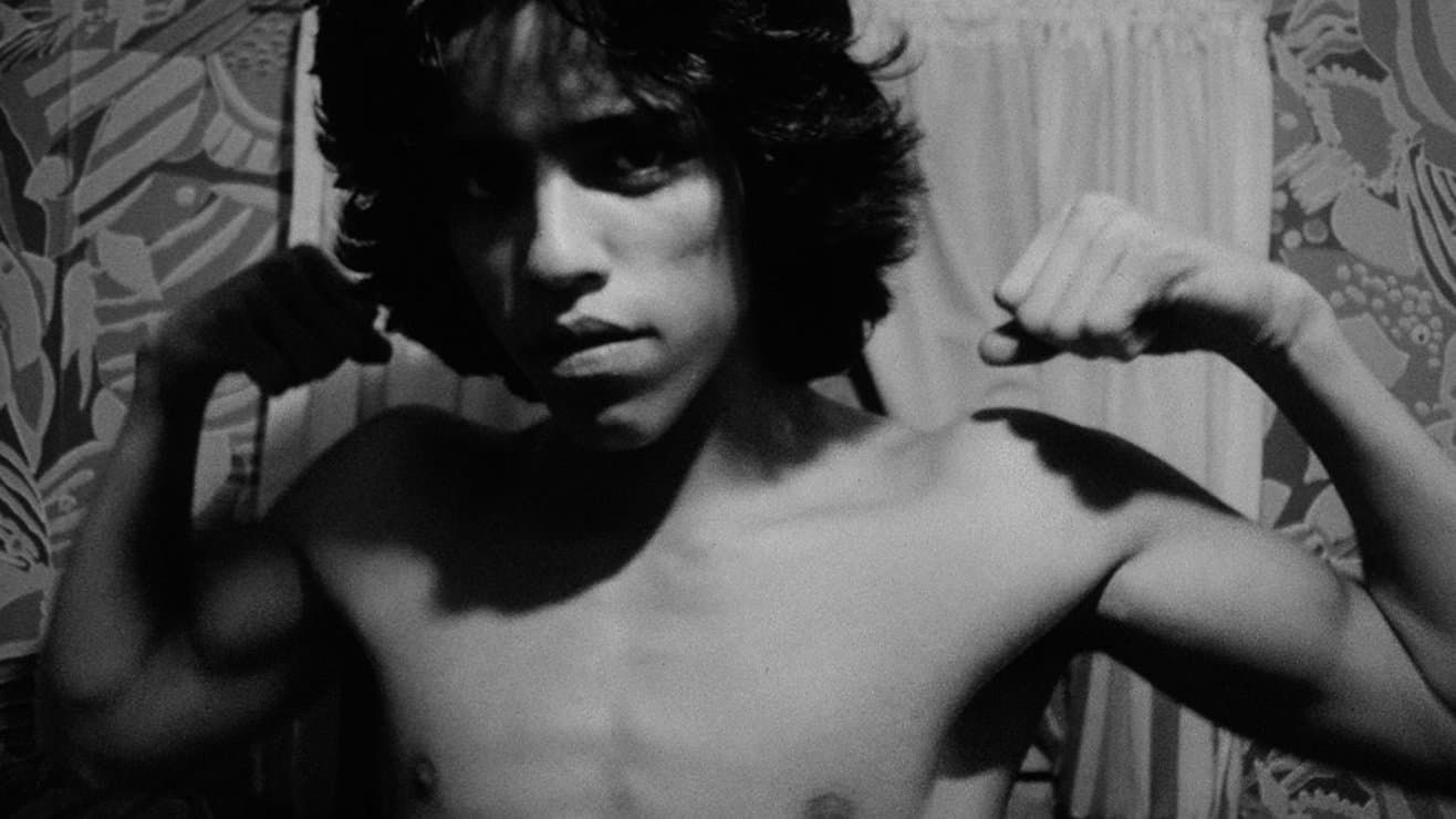 Poster backdrop for Mala Noche