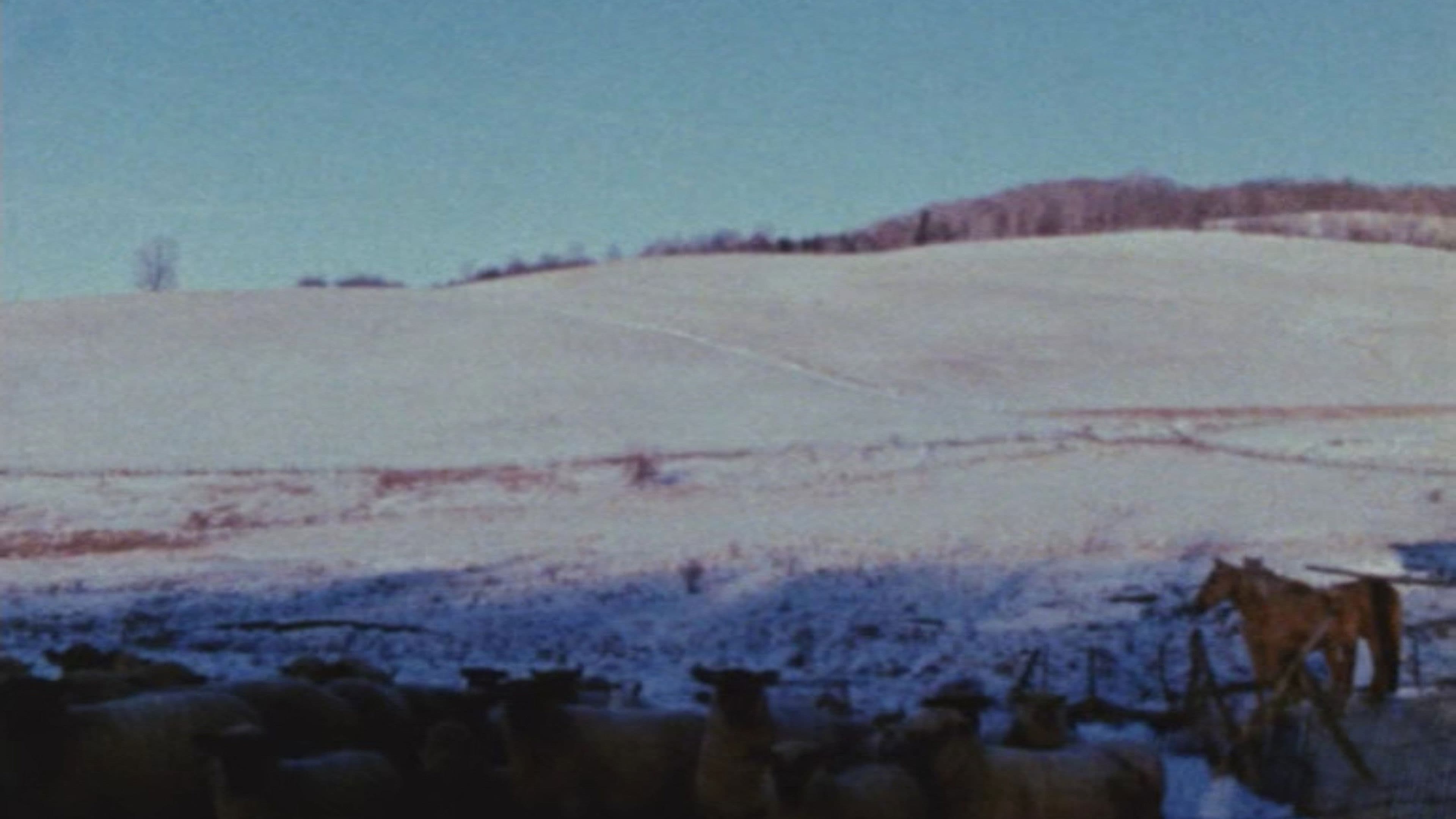 Poster backdrop for Horizons