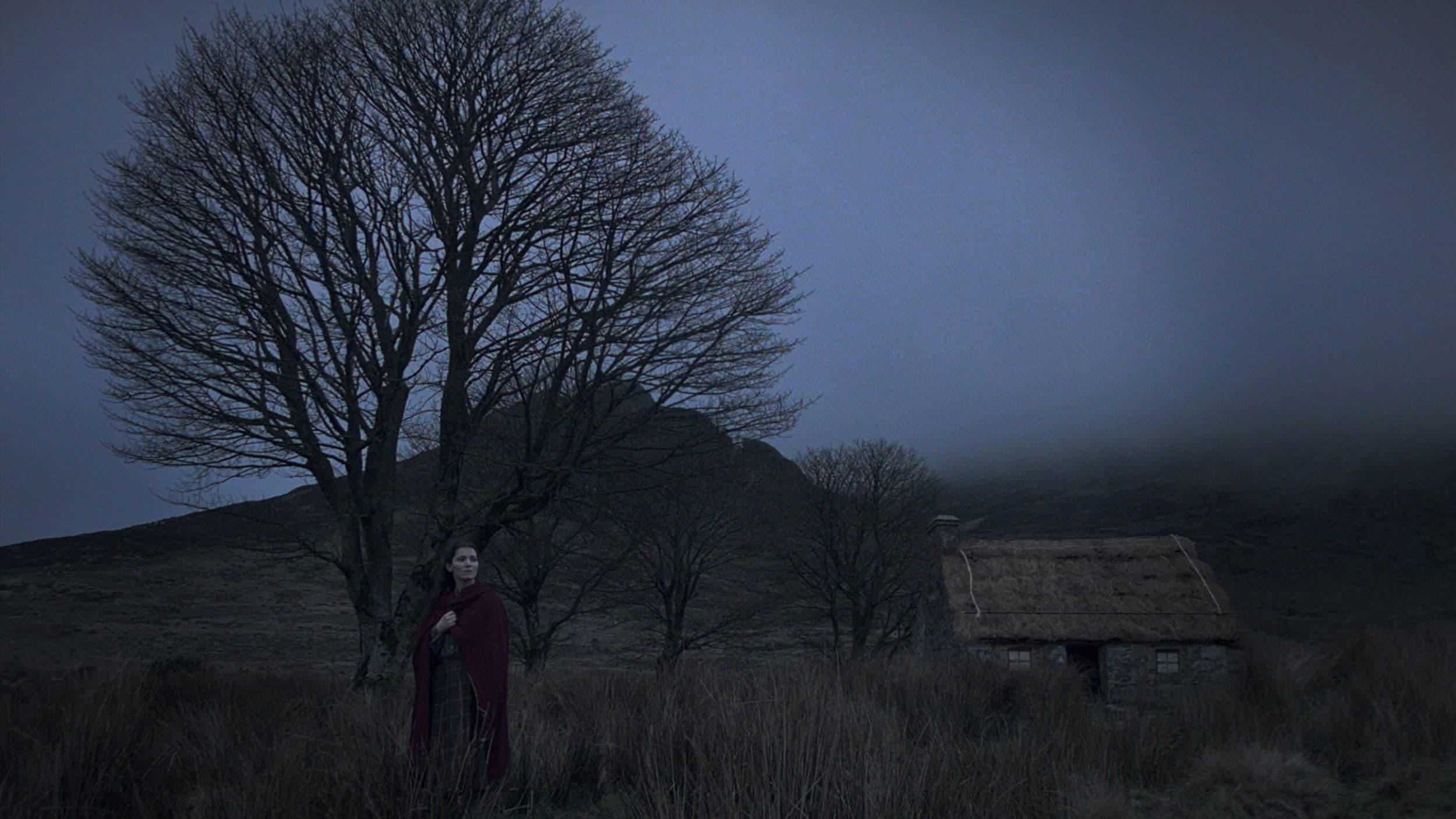 Poster backdrop for Changeling