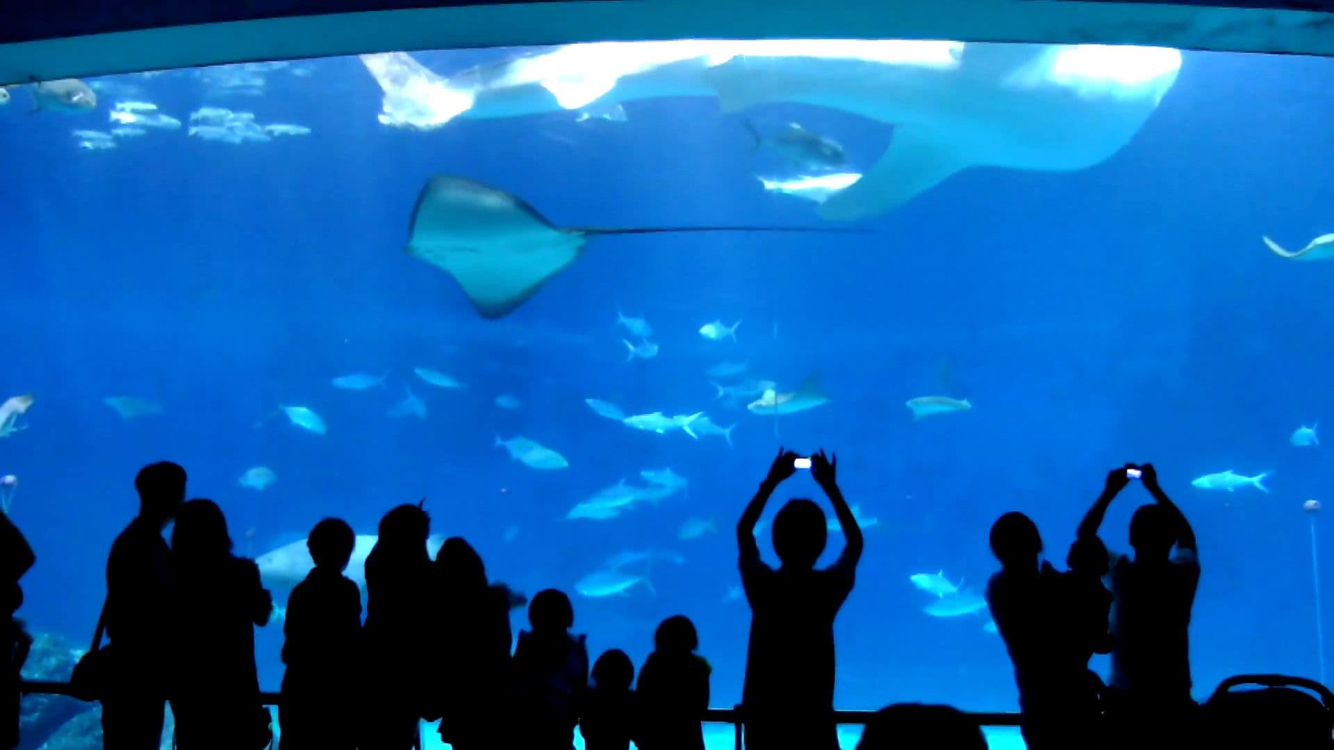 Poster backdrop for Mit mívelt Isten