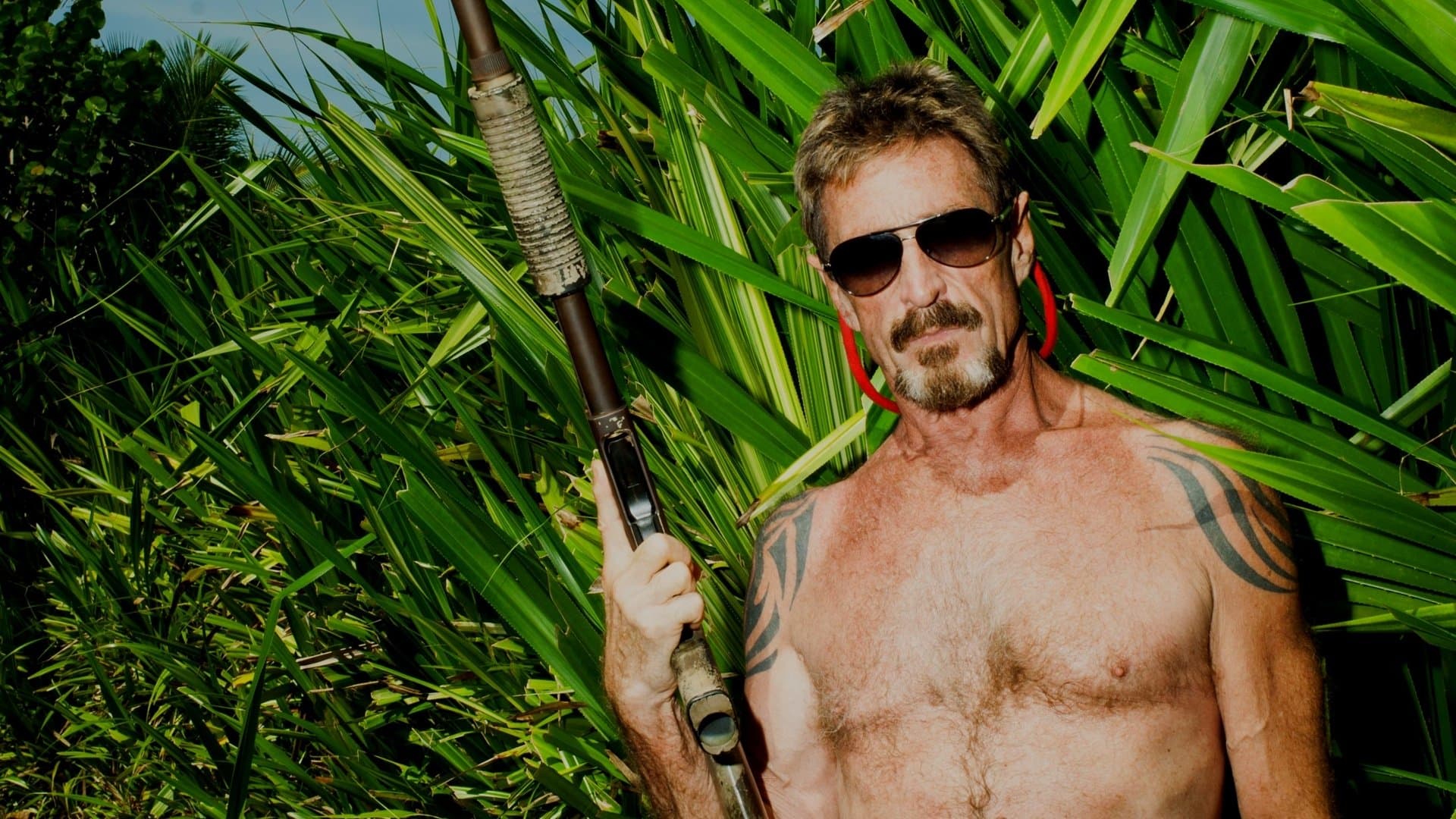 Poster backdrop for Gringo: The Dangerous Life of John McAfee