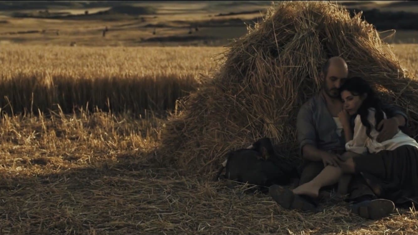 Poster backdrop for Chrysalis