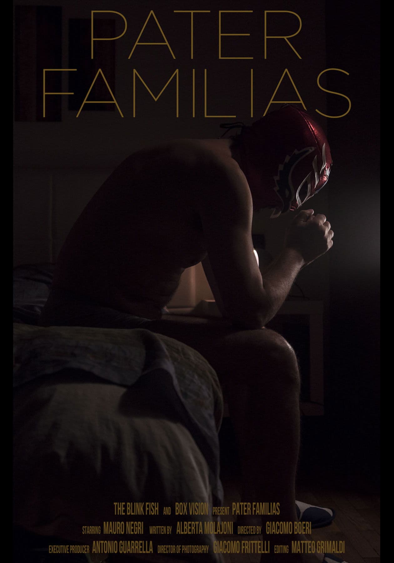 Poster backdrop for Pater Familias