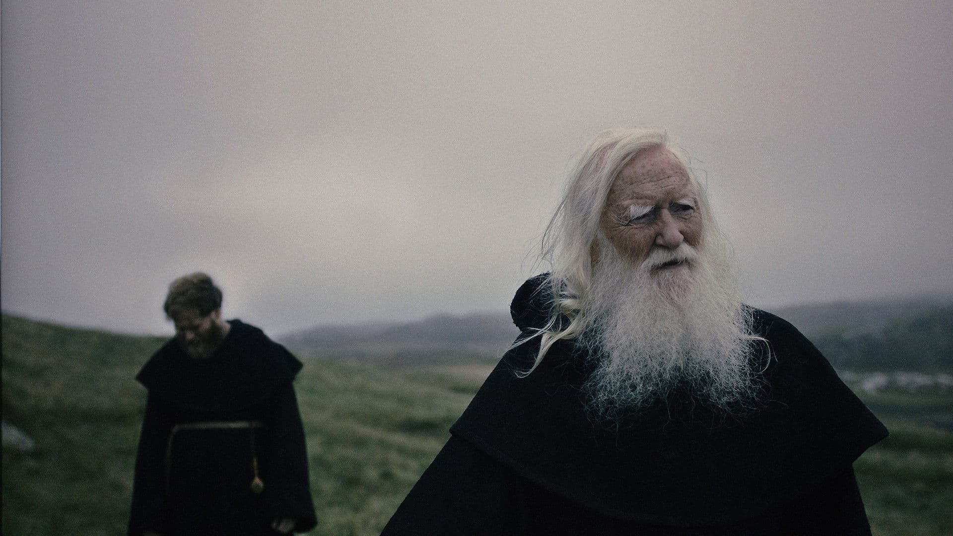 Poster backdrop for The Rock in the Sea