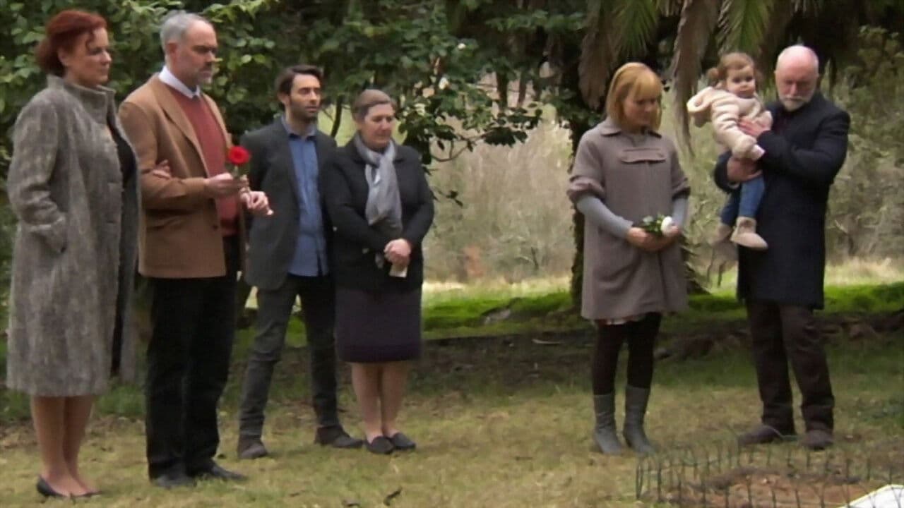 Poster backdrop for Todos os santos