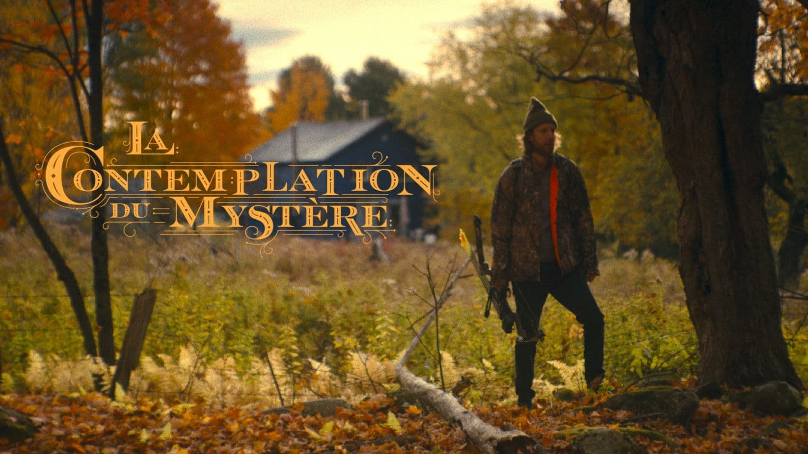 Poster backdrop for La Contemplation du mystère