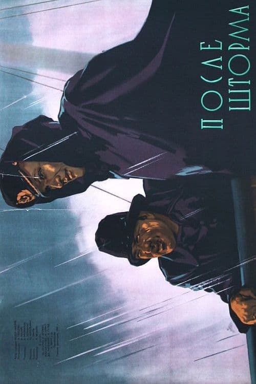 Poster backdrop for After The Storm