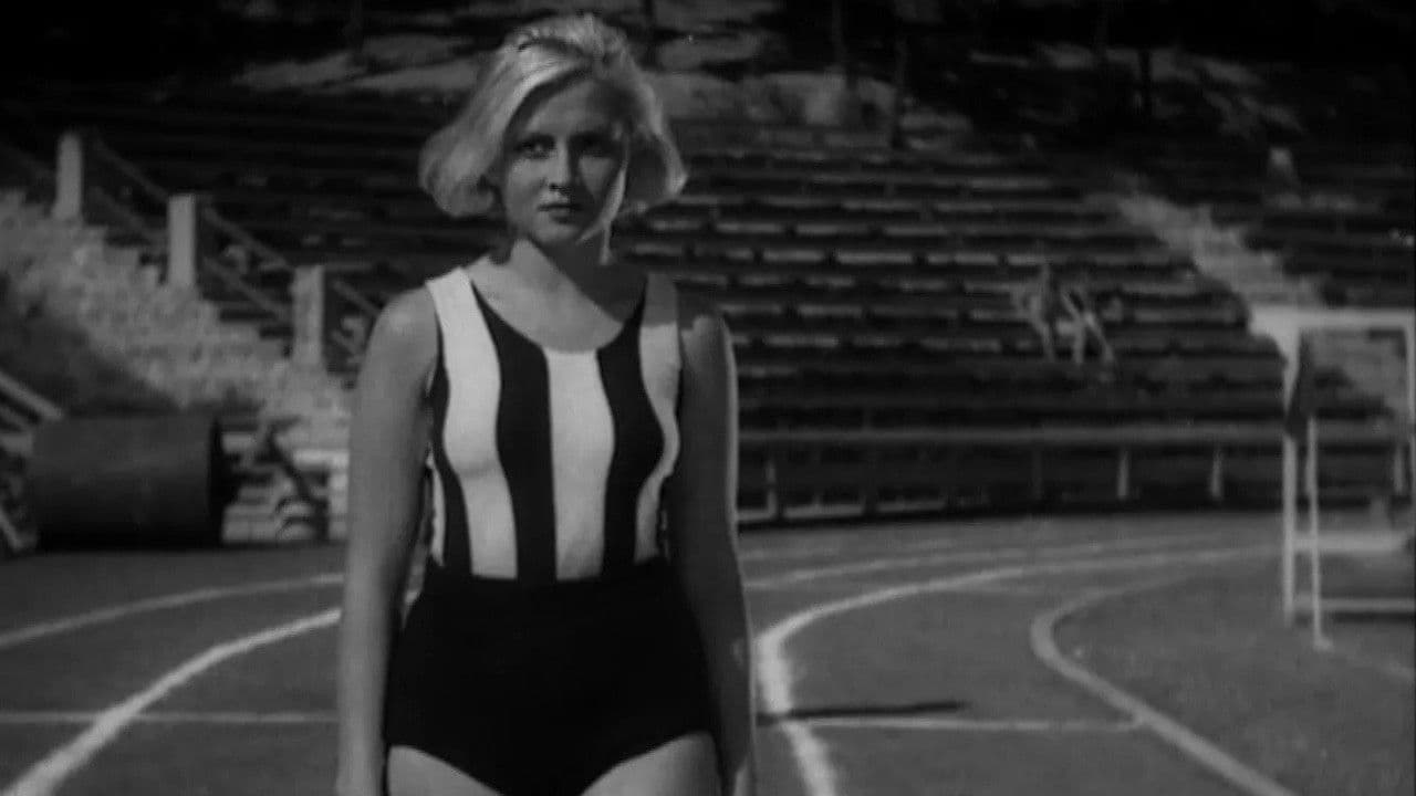 Poster backdrop for Accidental Meeting