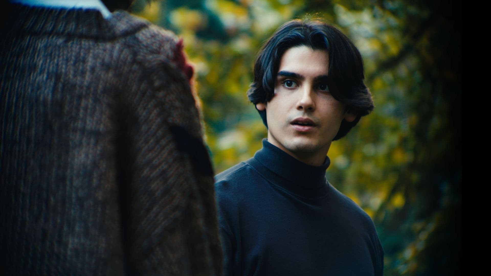 Poster backdrop for Twin Flame