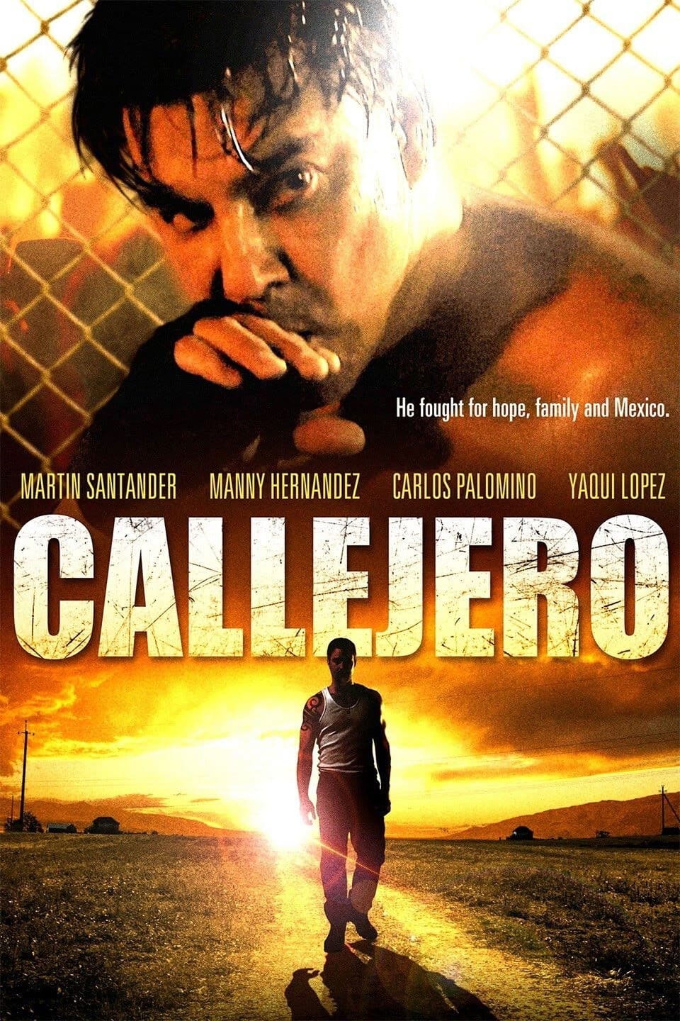 Poster backdrop for Callejero