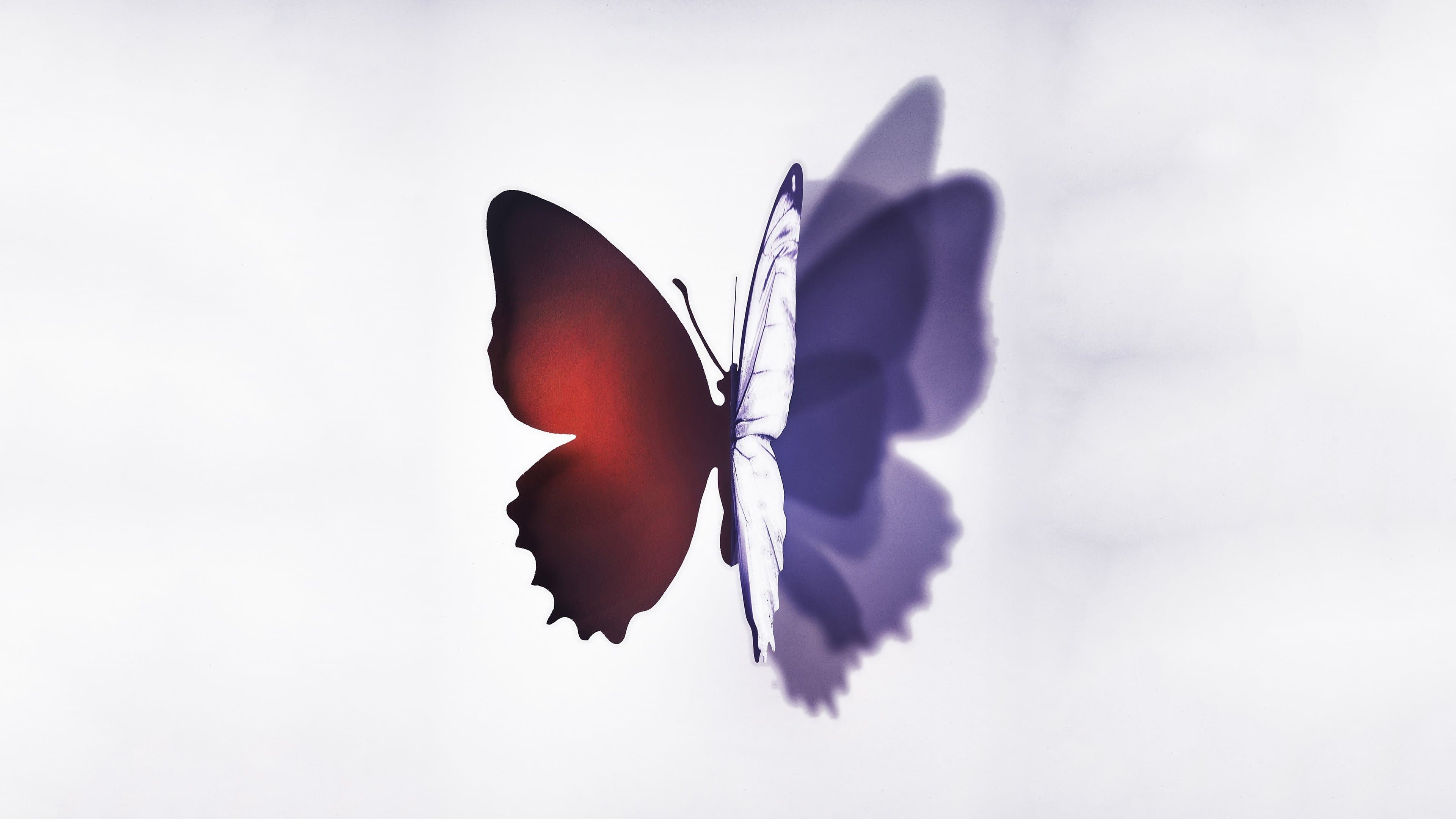 Poster backdrop for Complete Unknown