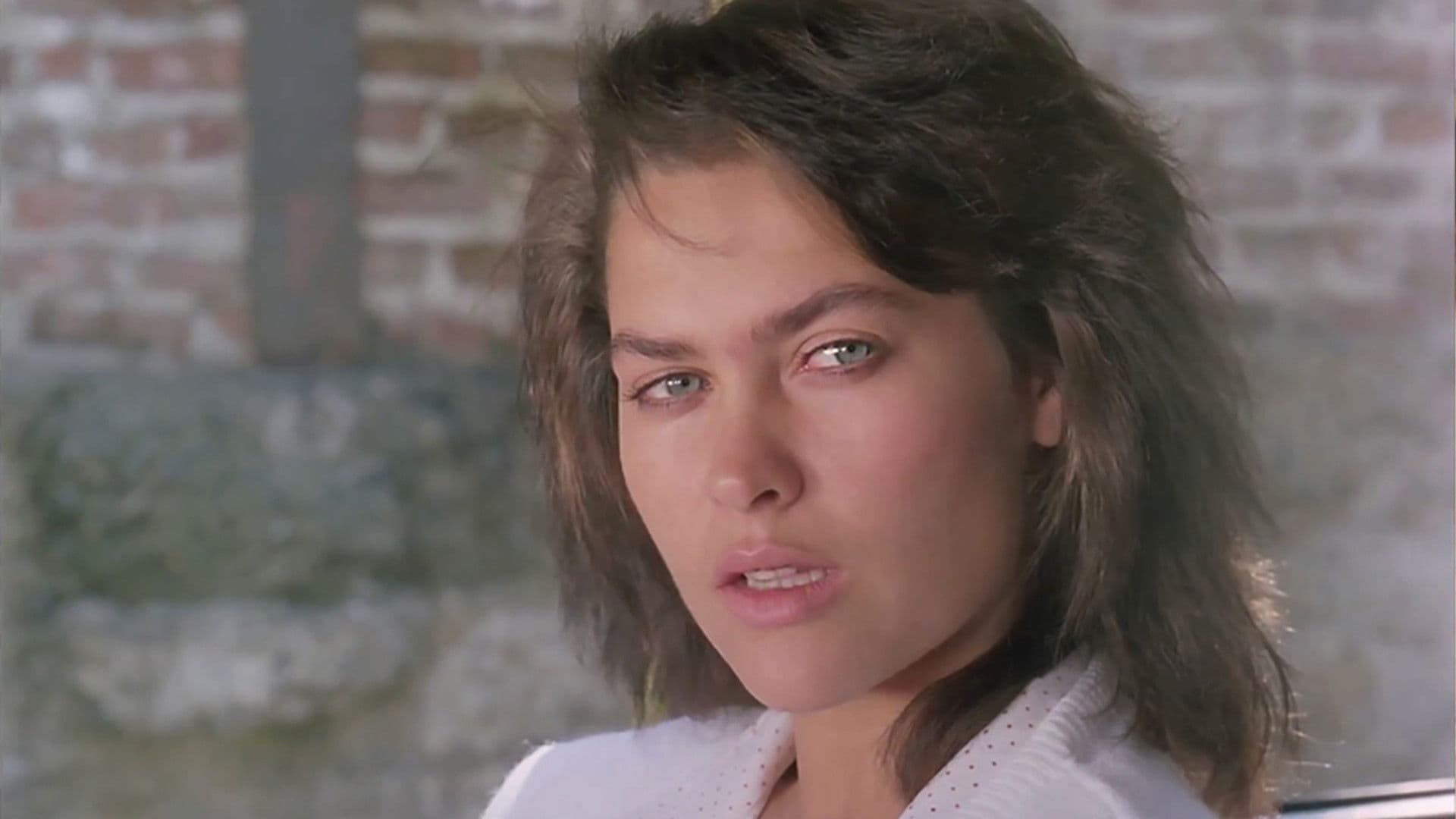 Poster backdrop for Çil Horoz