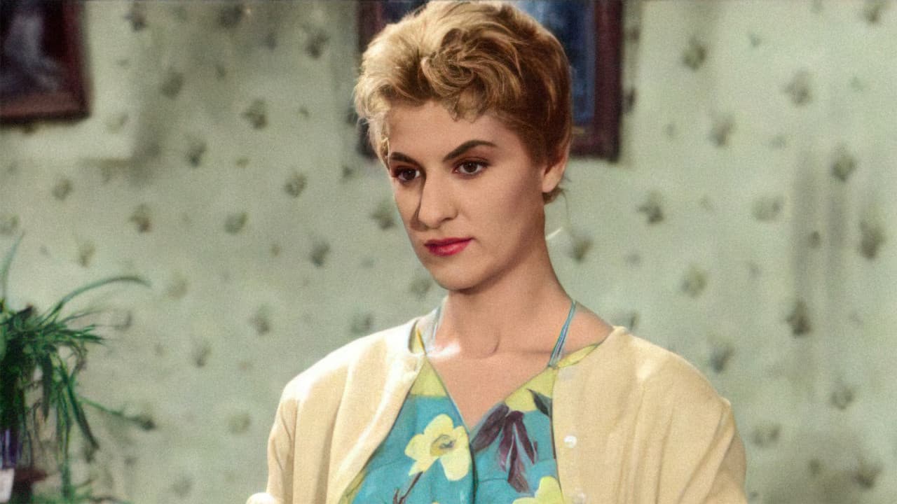 Poster backdrop for My Little Seamstress