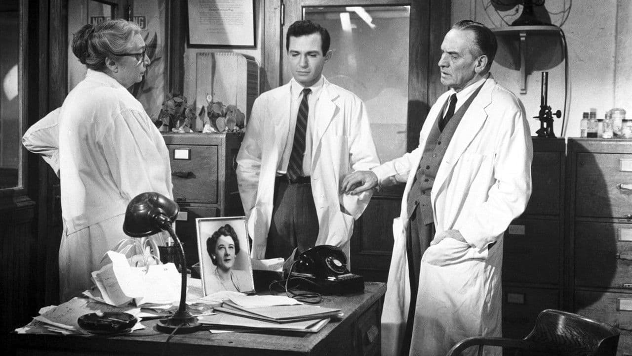 Poster backdrop for The Young Doctors