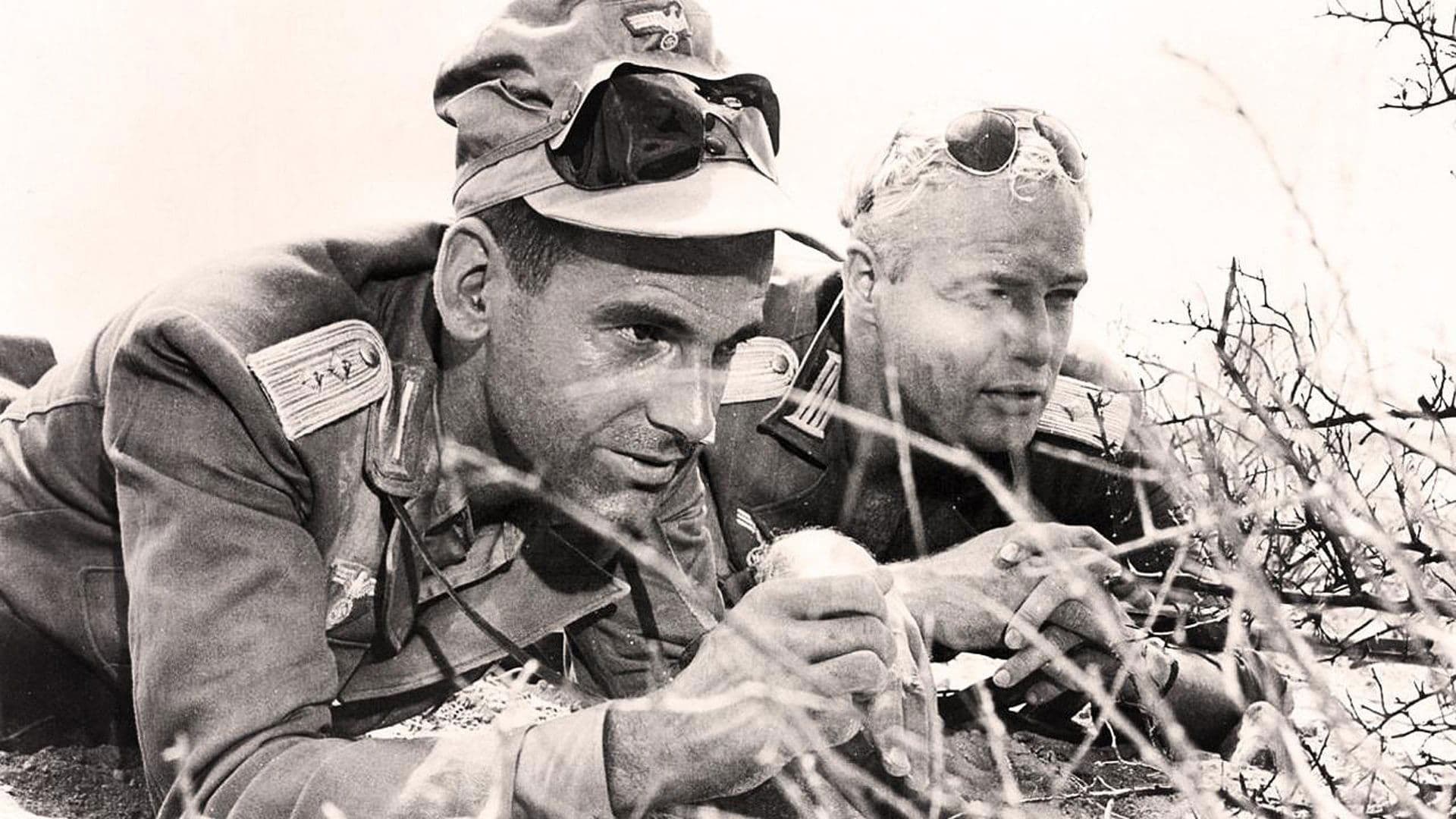 Poster backdrop for The Young Lions