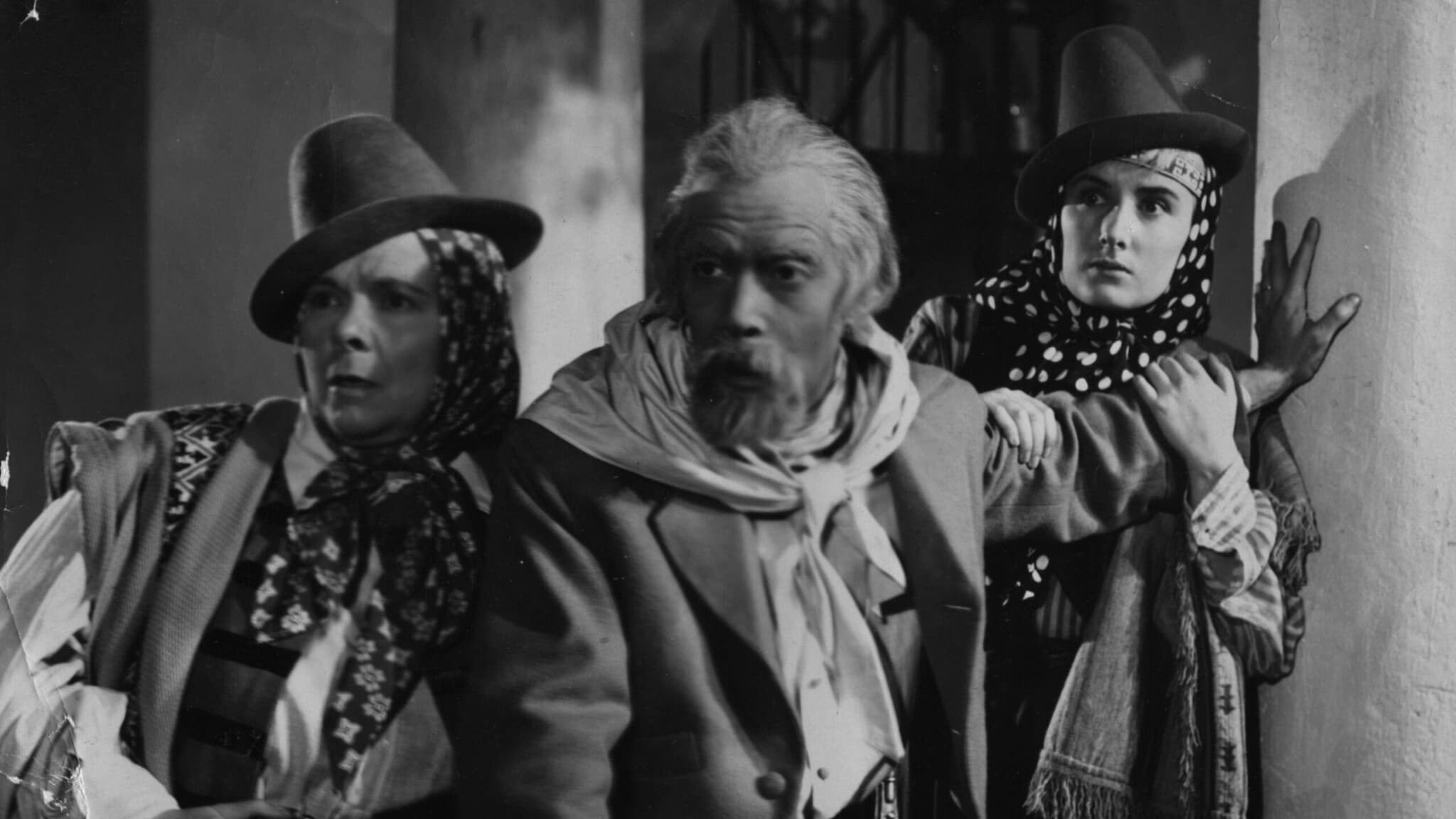 Poster backdrop for Vidalita