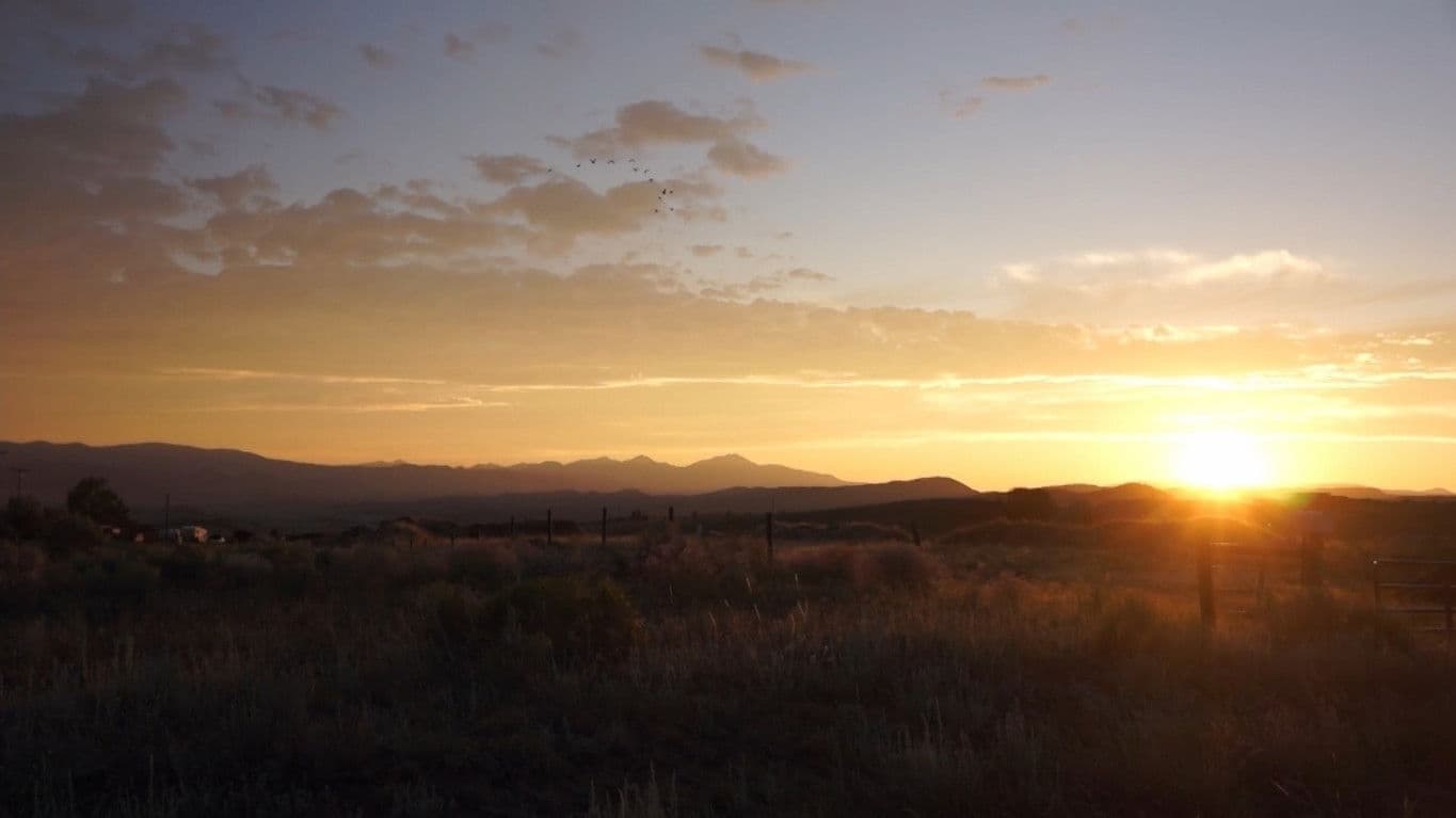 Poster backdrop for Coming to Terms