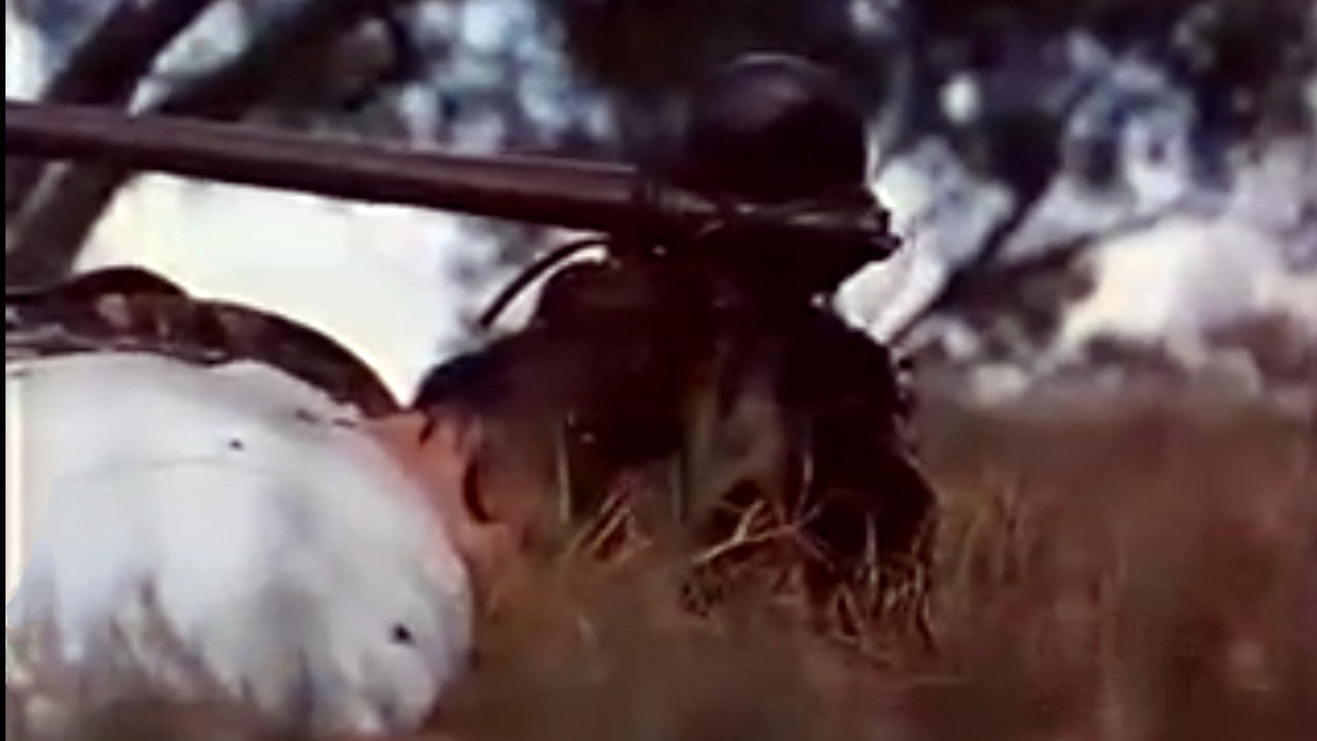 Poster backdrop for Demon Warrior