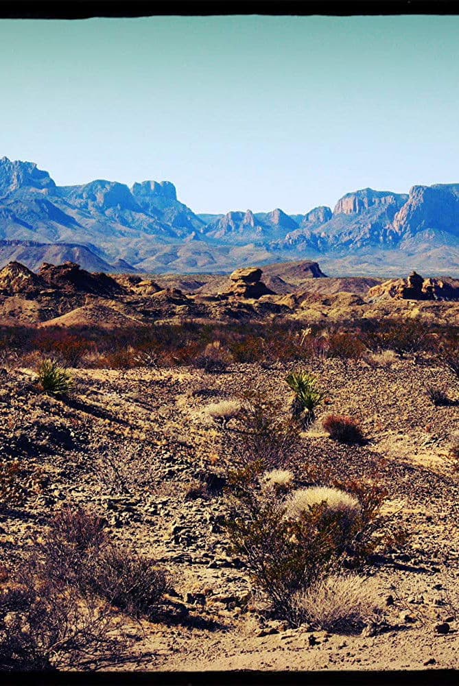 Poster backdrop for Wolves Inside