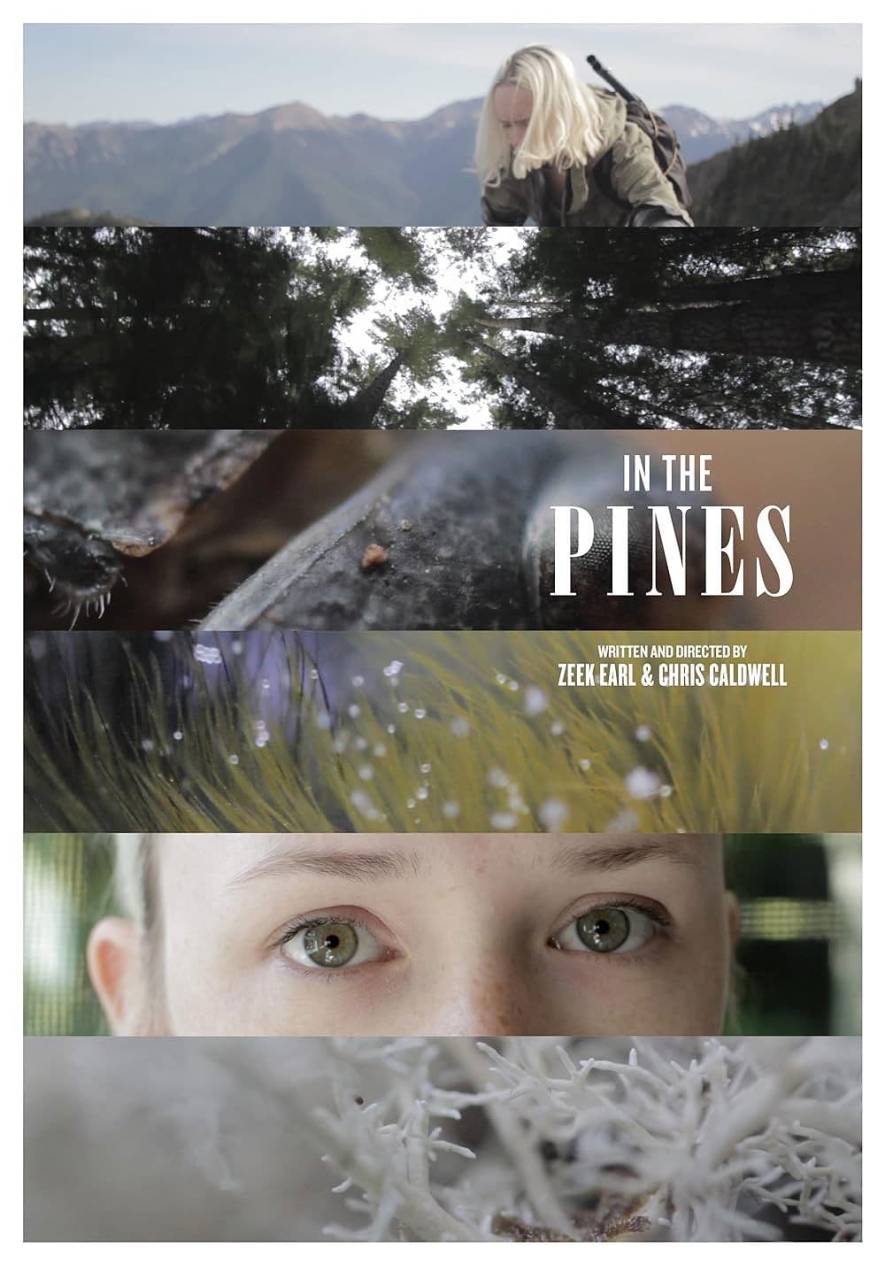 Poster backdrop for In the Pines