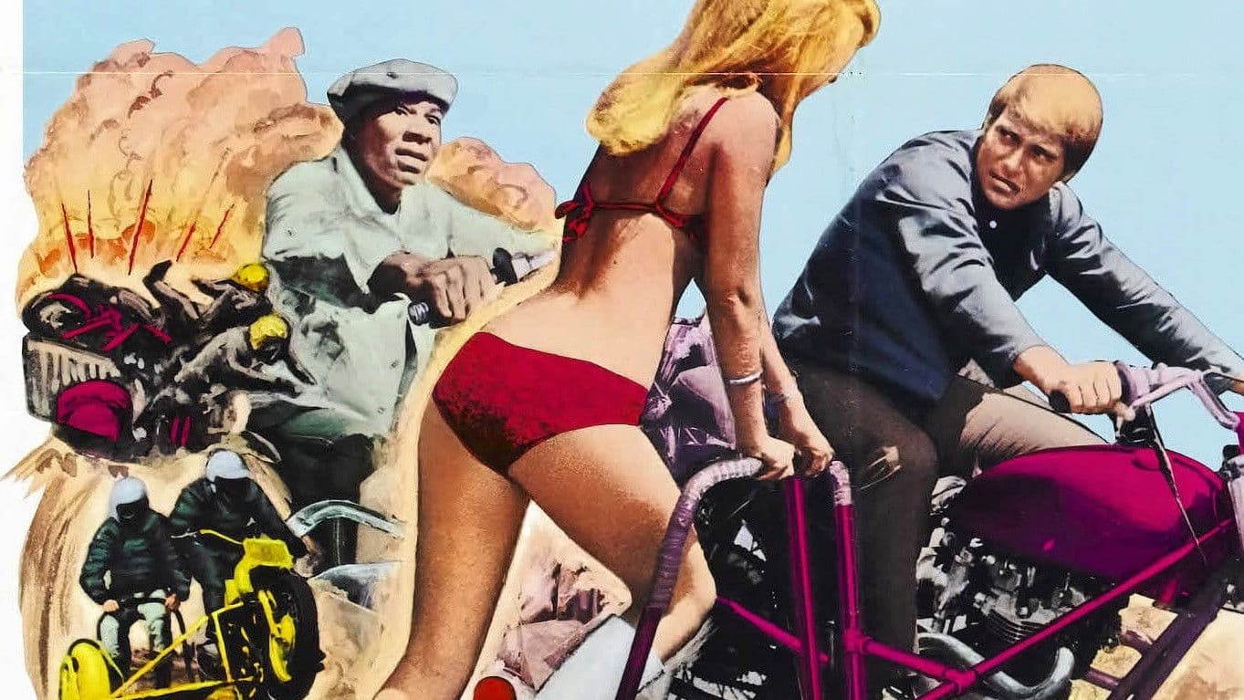 Poster backdrop for The Sidehackers