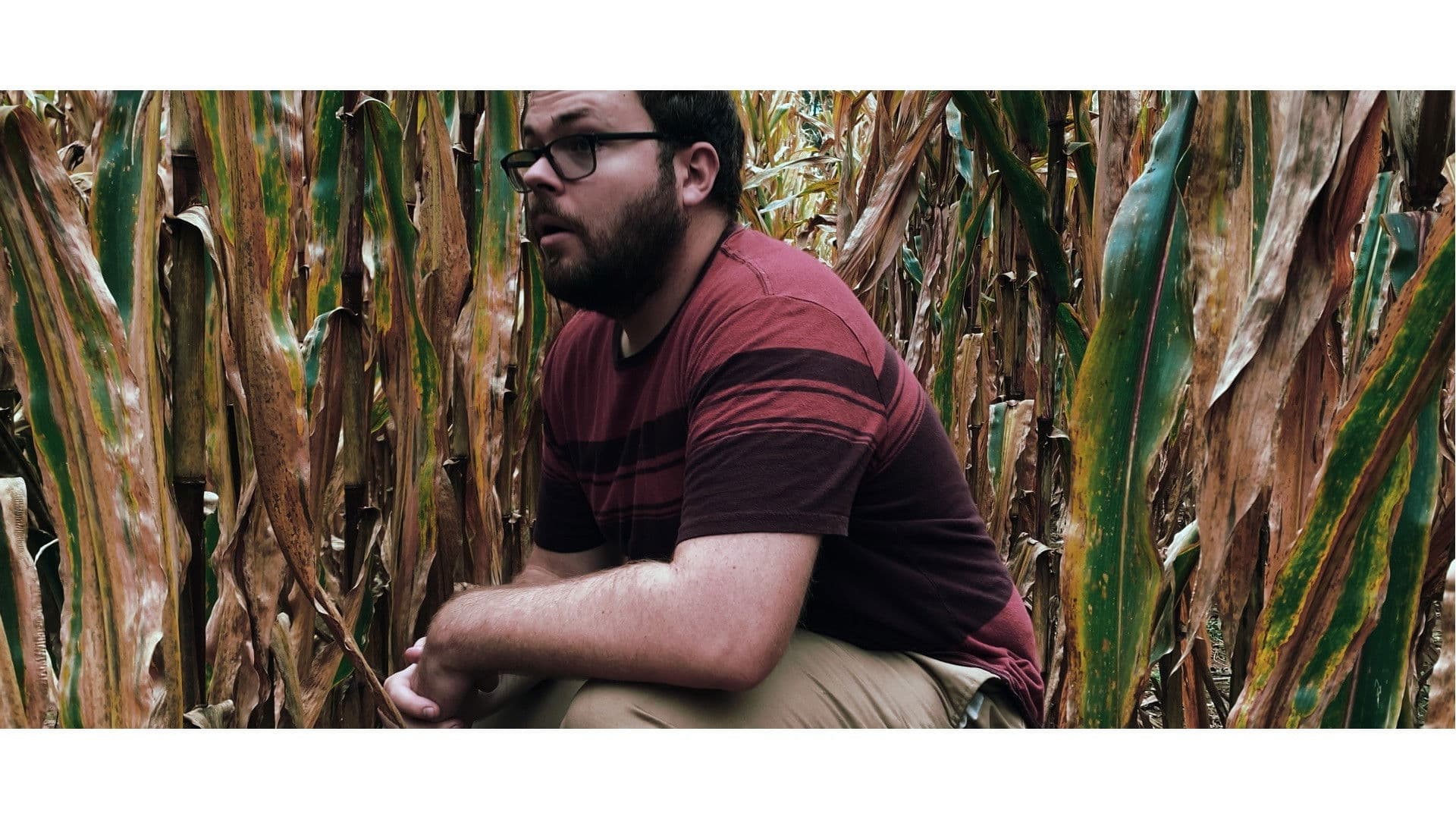 Poster backdrop for Willopenn Drive