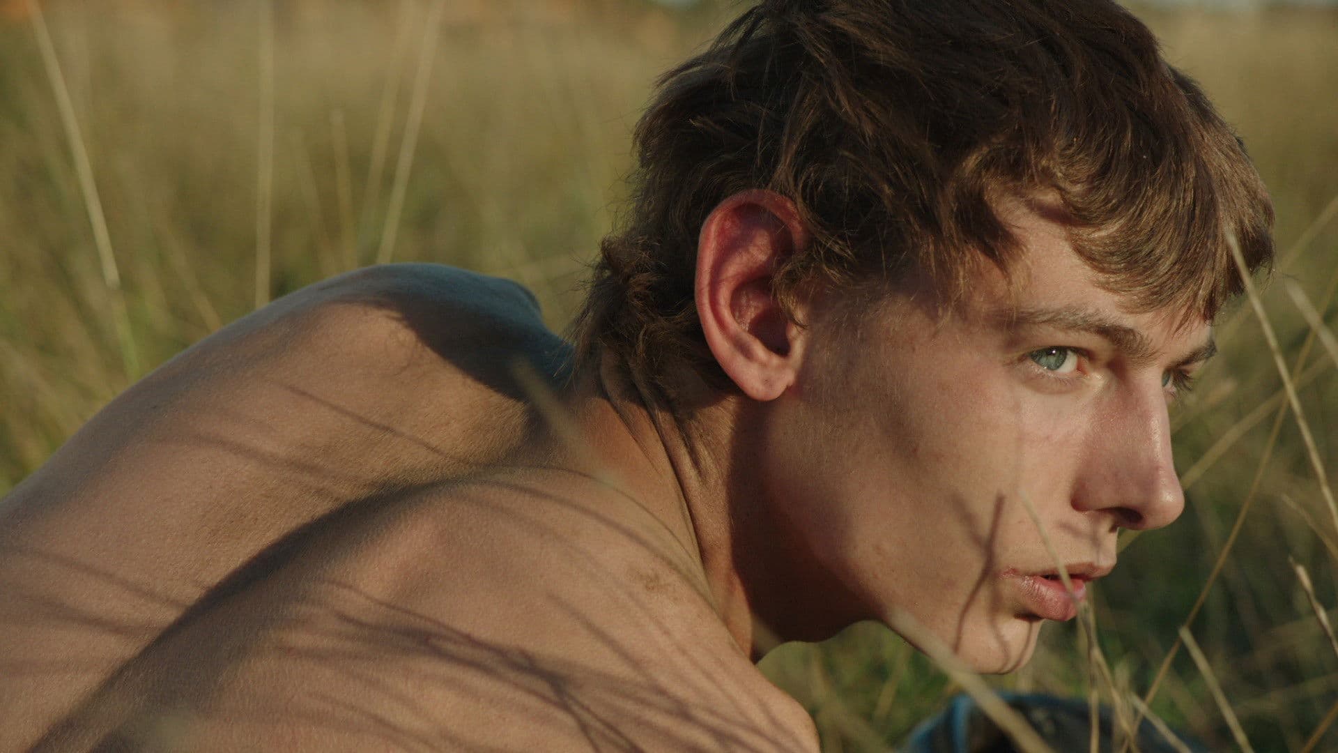 Poster backdrop for The Goob