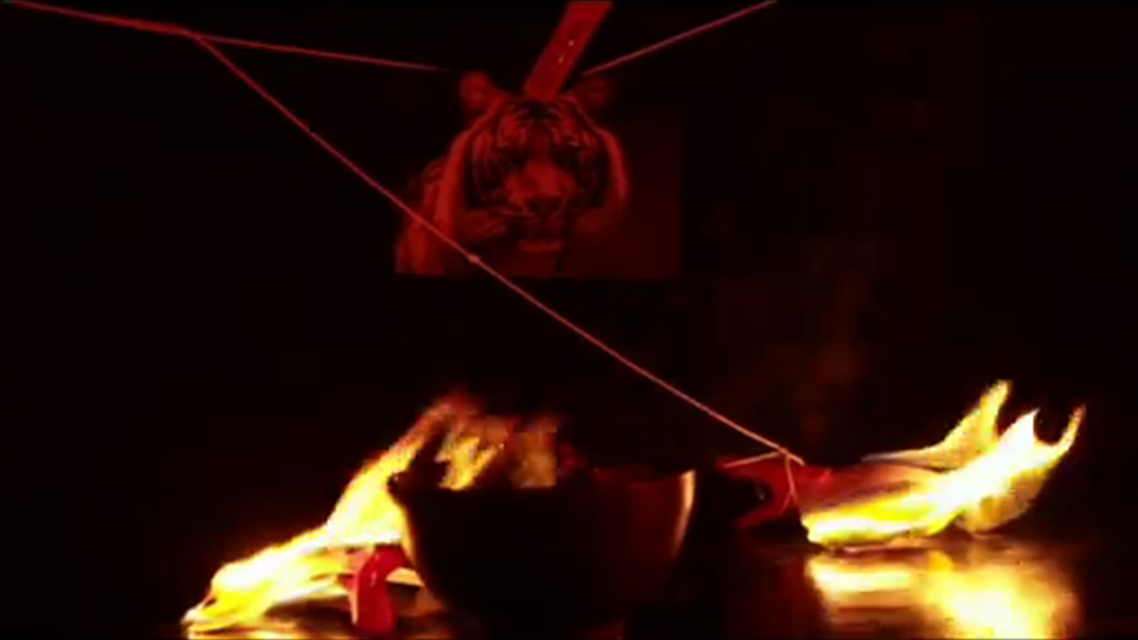 Poster backdrop for Triggris