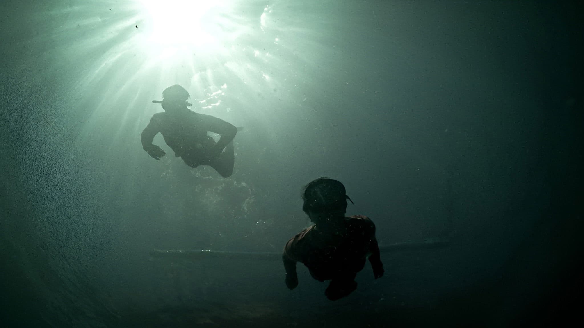 Poster backdrop for Delve