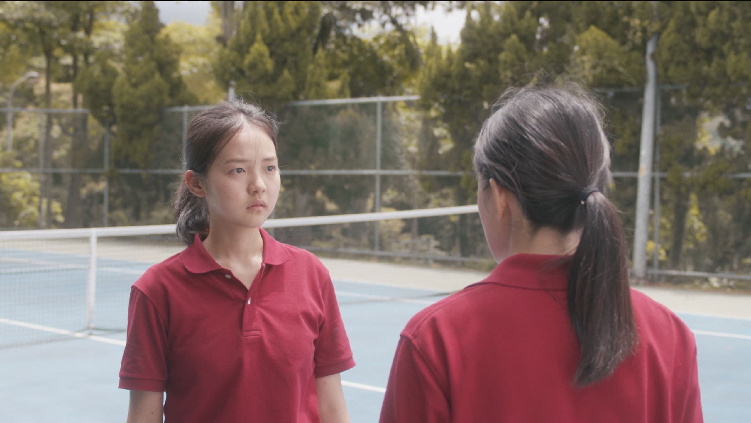 Poster backdrop for Blossom