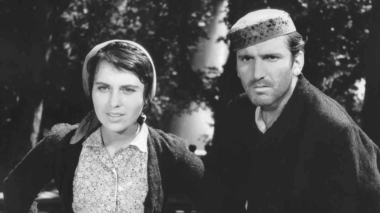 Poster backdrop for Train without a Timetable