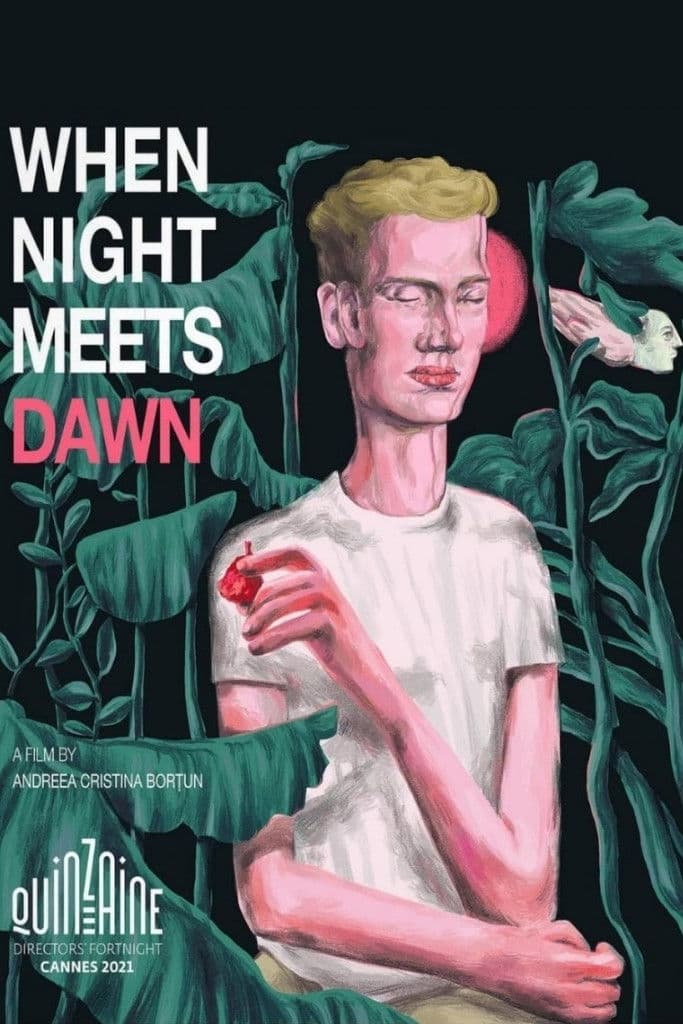Poster backdrop for When Night Meets Dawn