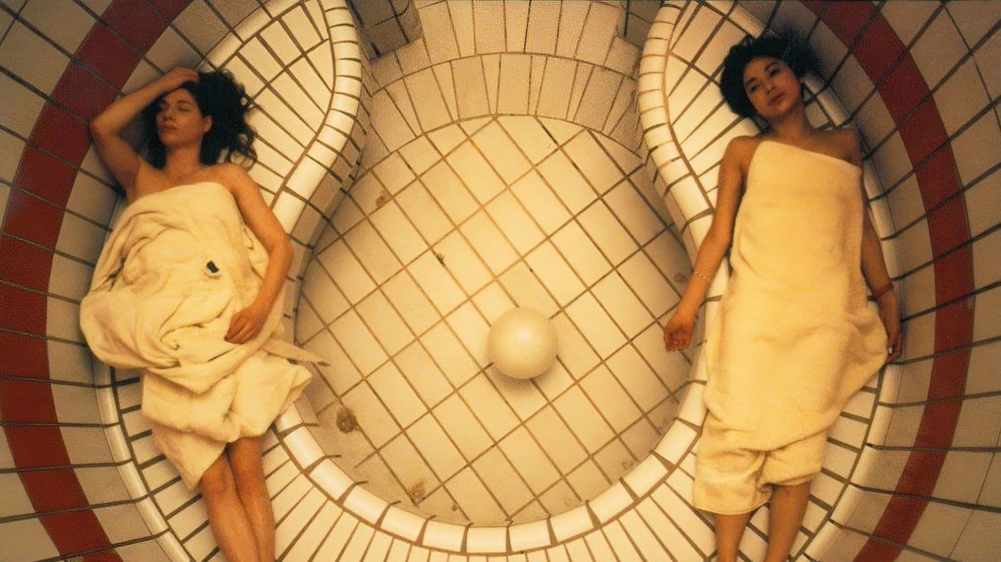 Poster backdrop for The Girl Who Picks Flowers and the Girl Who Kills Insects