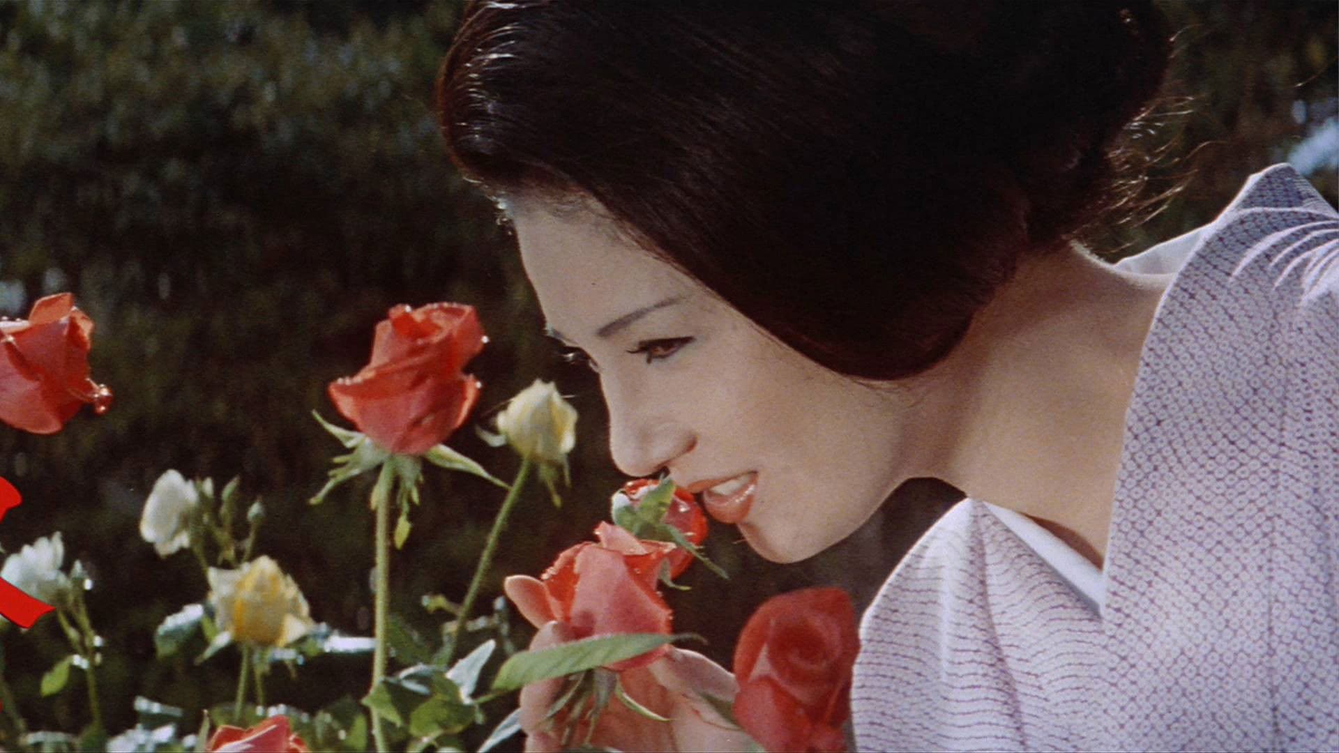 Poster backdrop for Flower & Snake