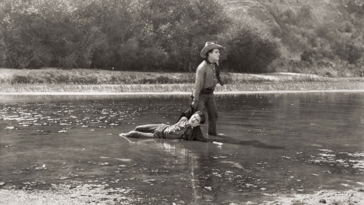 Poster backdrop for The Meddler