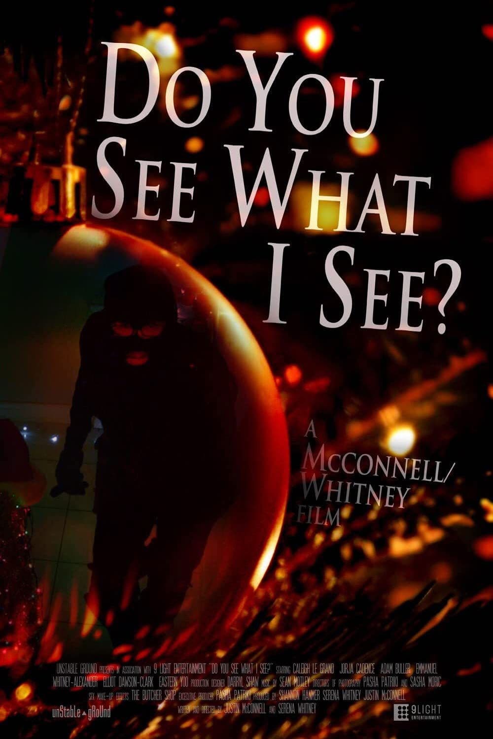 Poster backdrop for Do You See What I See?