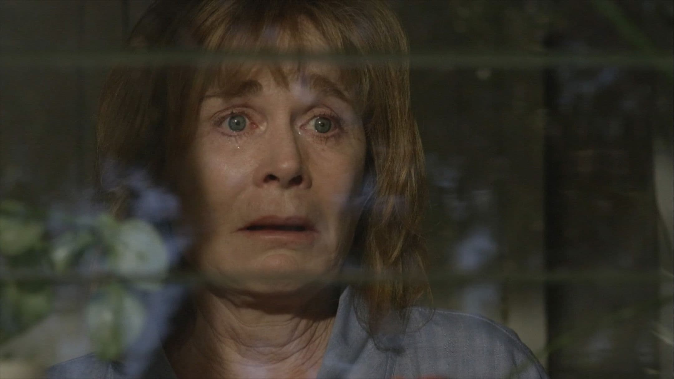 Poster backdrop for Harvey's Dream