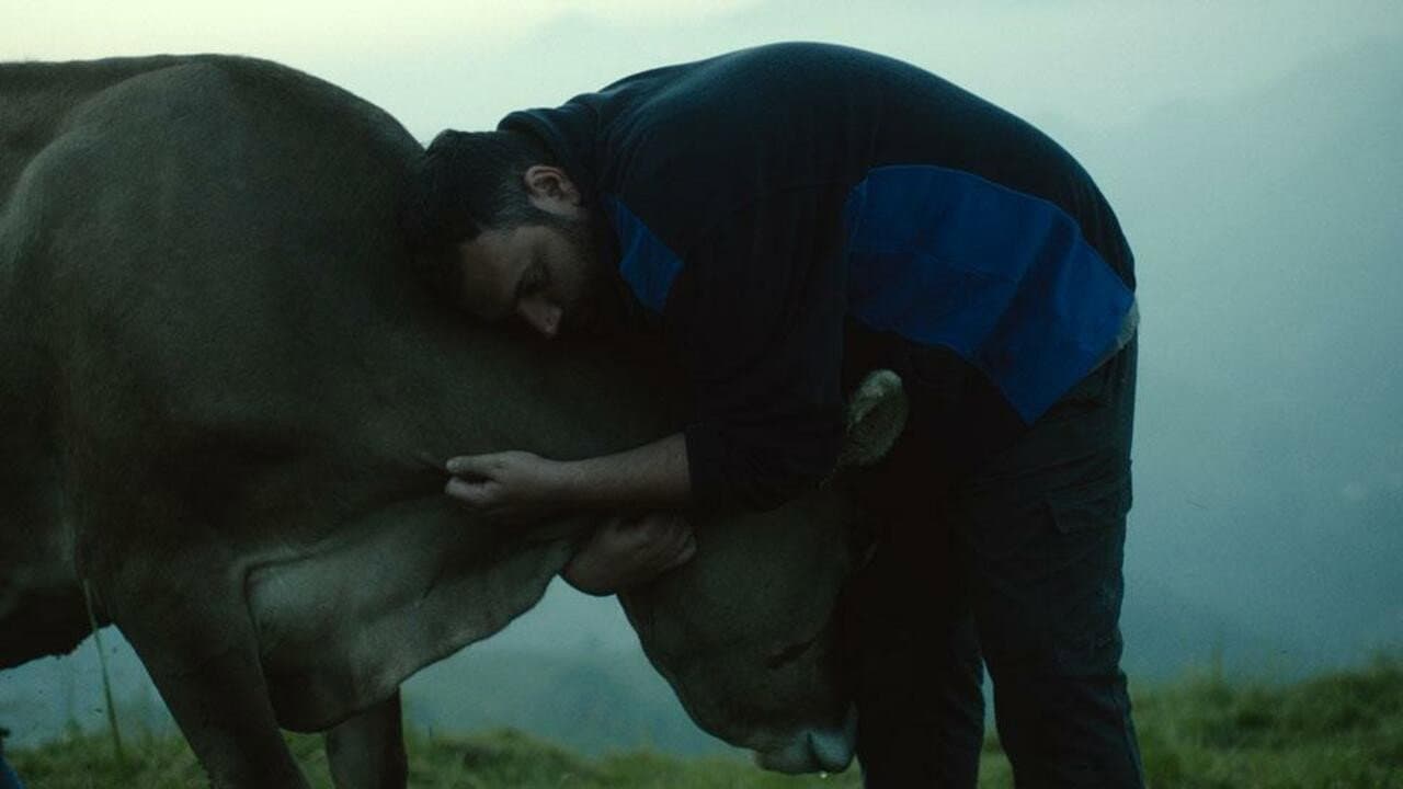 Poster backdrop for Lessons of Love