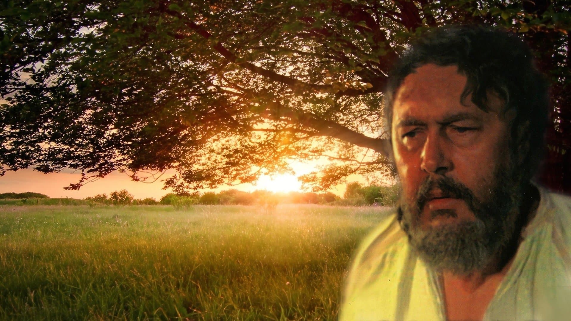 Poster backdrop for The Quack