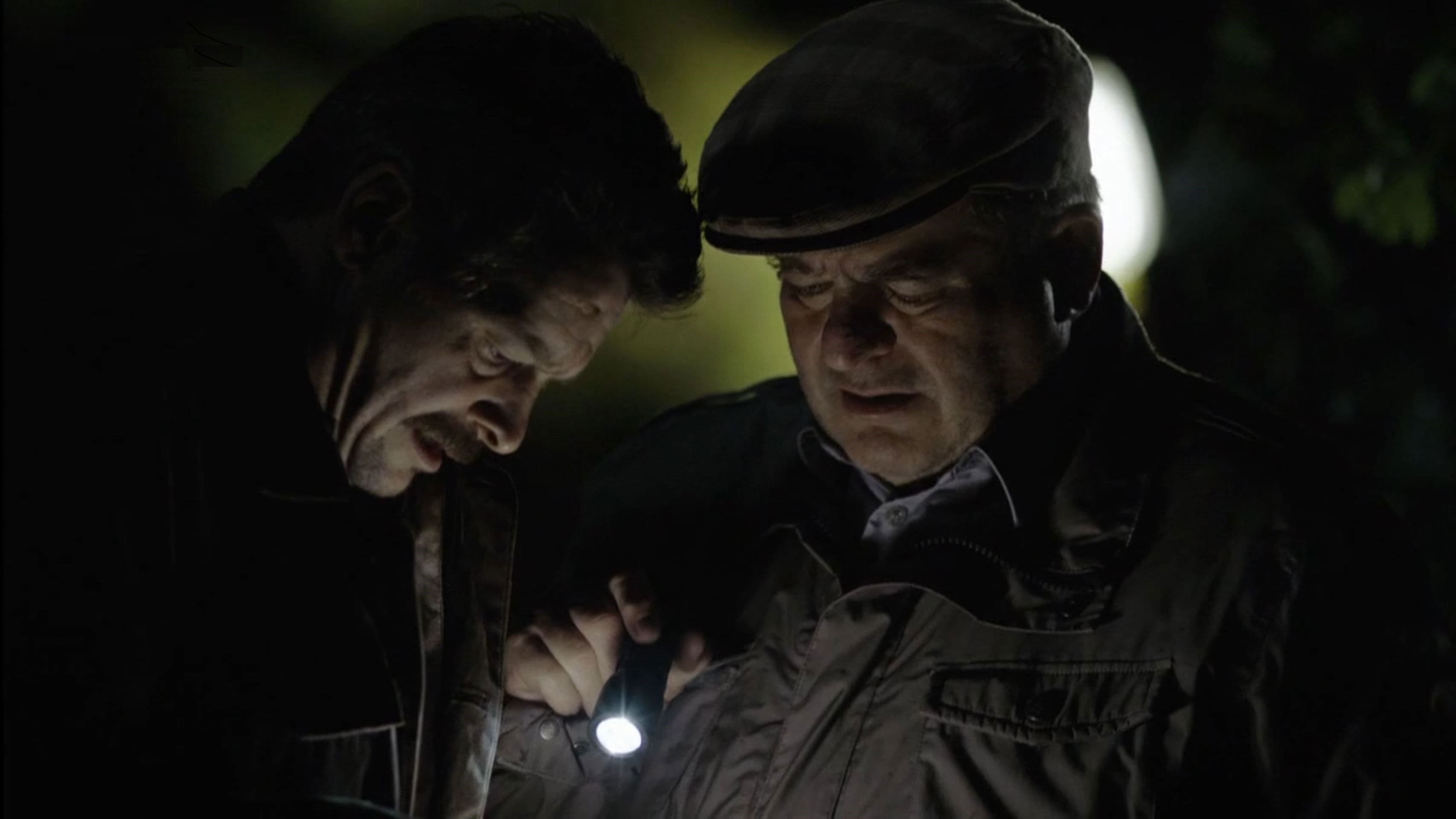 Poster backdrop for Polt.