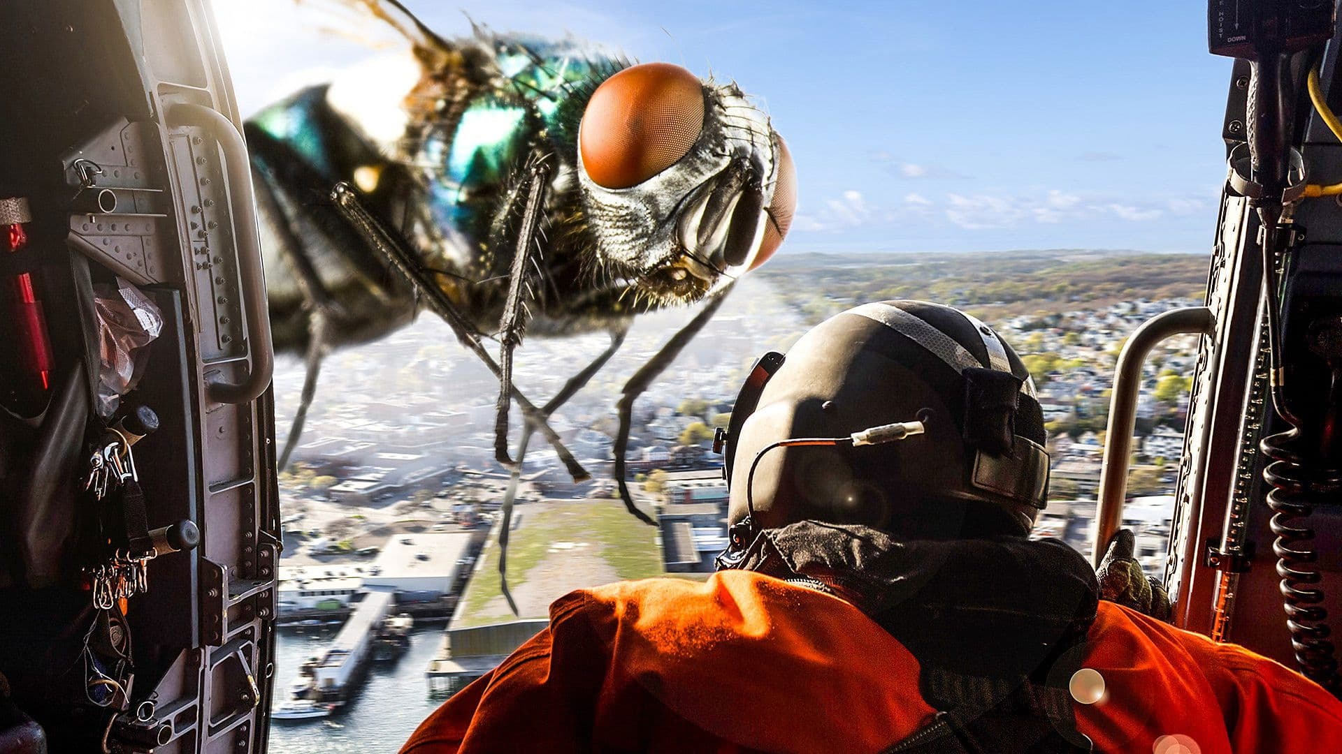 Poster backdrop for Size Matters