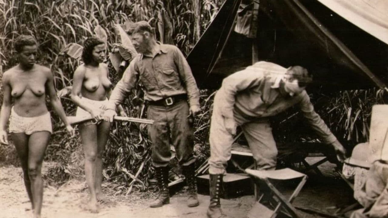 Poster backdrop for Angkor