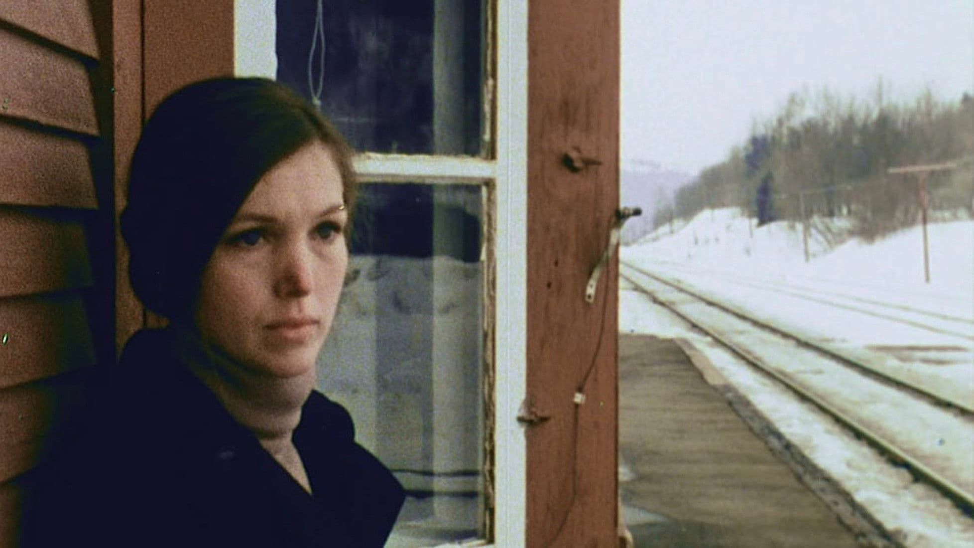 Poster backdrop for The Animal