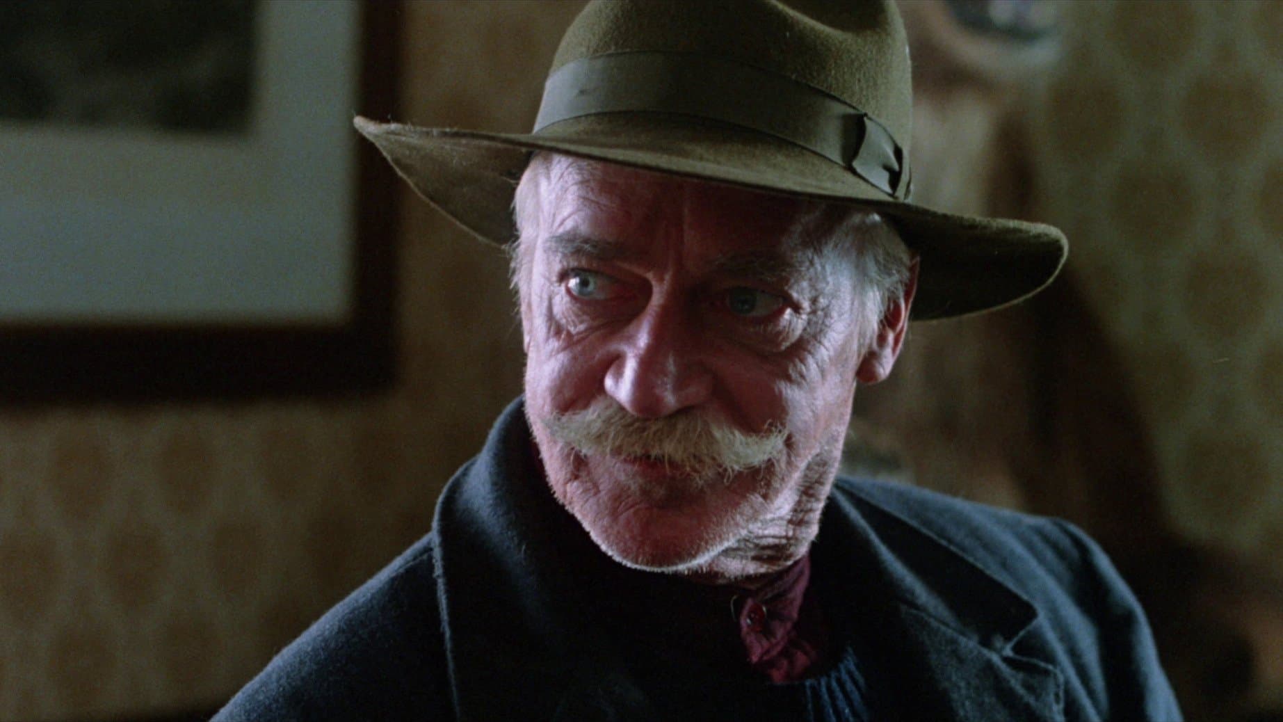 Poster backdrop for The Grey Fox