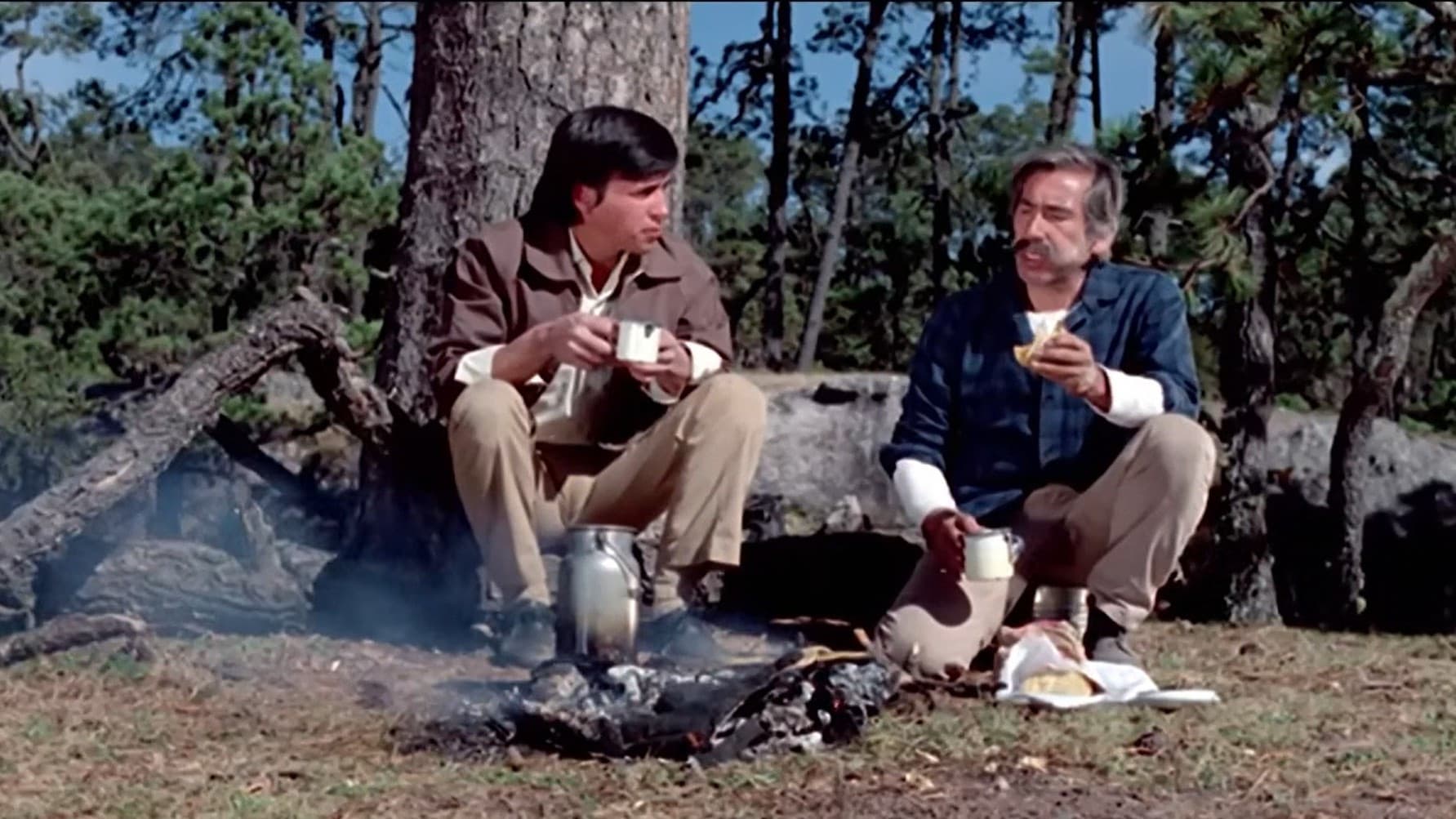 Poster backdrop for Wandering Lives