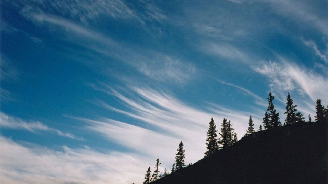 Poster backdrop for Carpatia