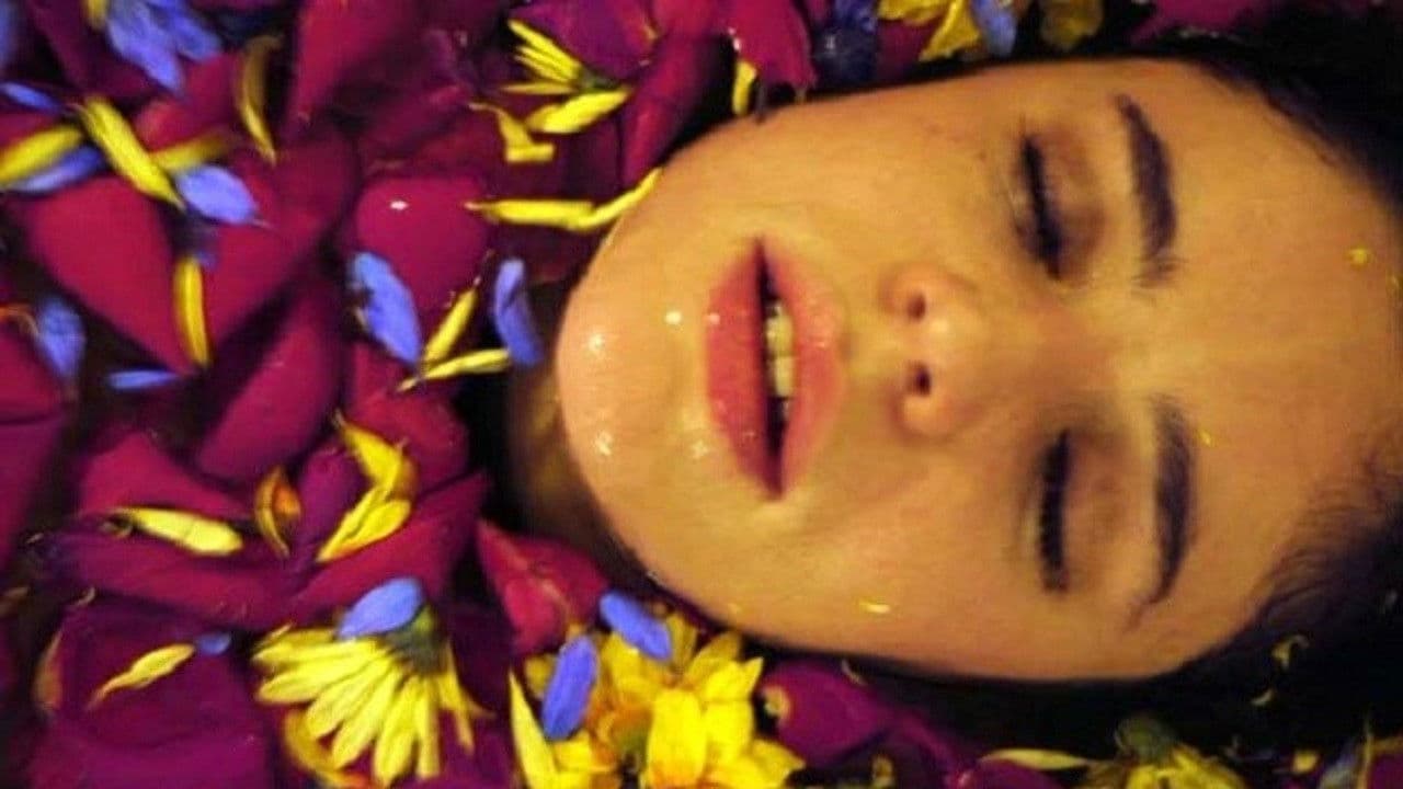 Poster backdrop for Violet of a Thousand Colors